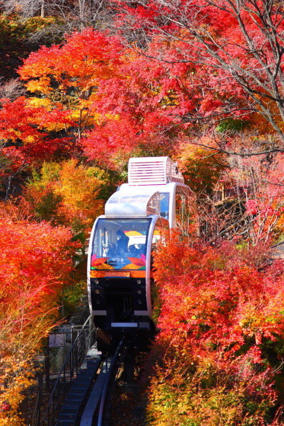 화담숲 단풍축제