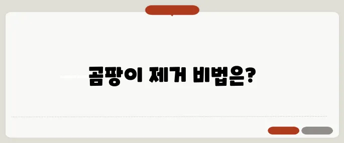 곰팡이 벽지 제거 방법 깨끗하게 없애는 법