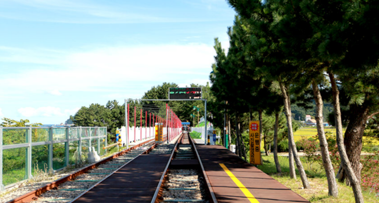 삼척 레일바이크