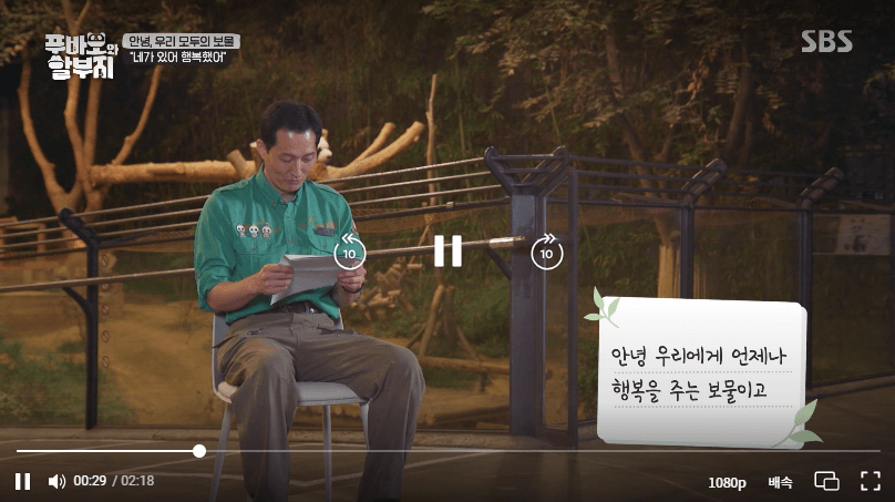 푸바오와 할부지 재방송