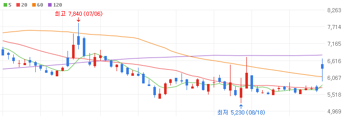 요소수 관련주 Top5 (대장주, 테마주)