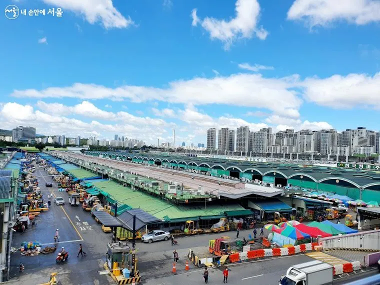 가락시장 맛집 회센터 수산시장 꽃게_2