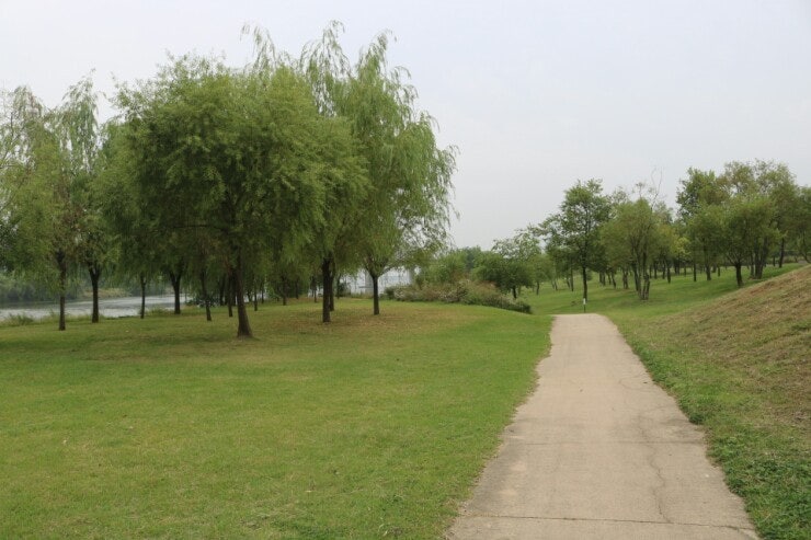 서울 도심 속 반려견과 산책하기 좋은 공원 BEST 6 관련 사진