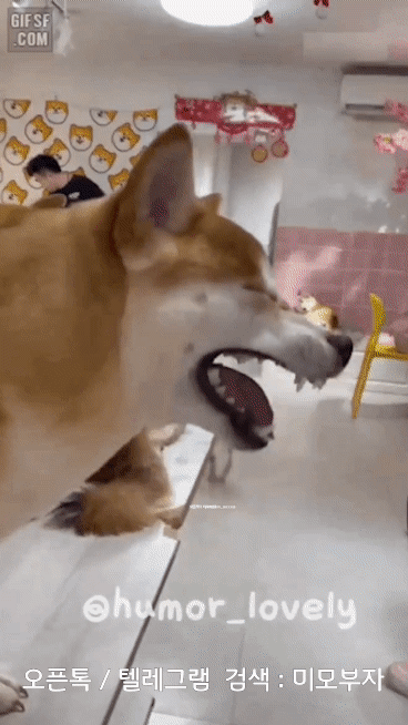 10월 25일 수요일 신문스크랩