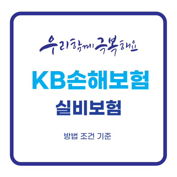 KB손해보험 실비보험 청구서류와 청구방법 총정리