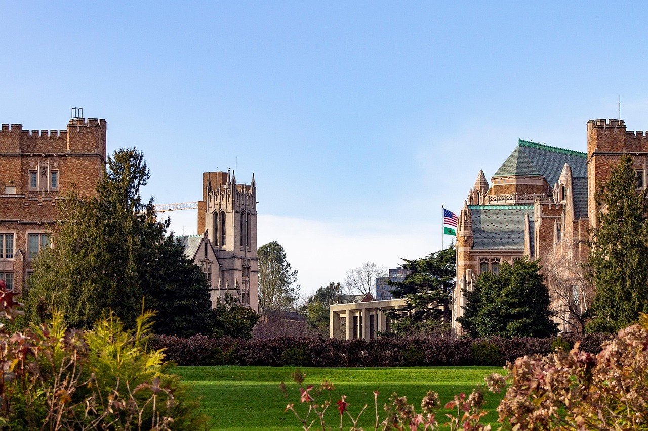 올해 미국유학 트렌드, 워싱턴 인기 전공 TOP (장학금, 커리어, 캠퍼스)