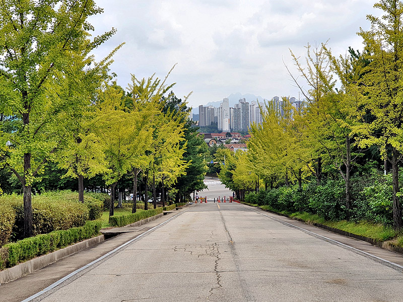 경기도 고양시 일산 정발산파크골프장 소개