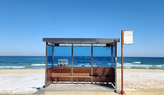 강릉 주문진 BTS