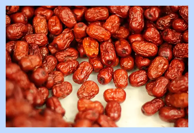 대추의 효능