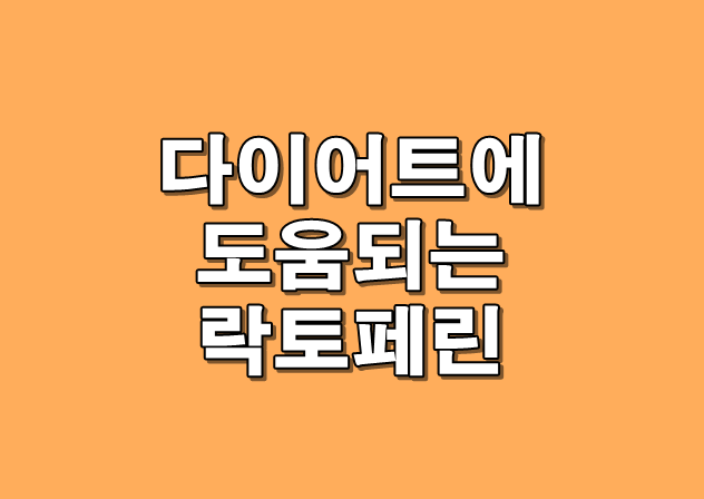 락토페린 메인 이미지