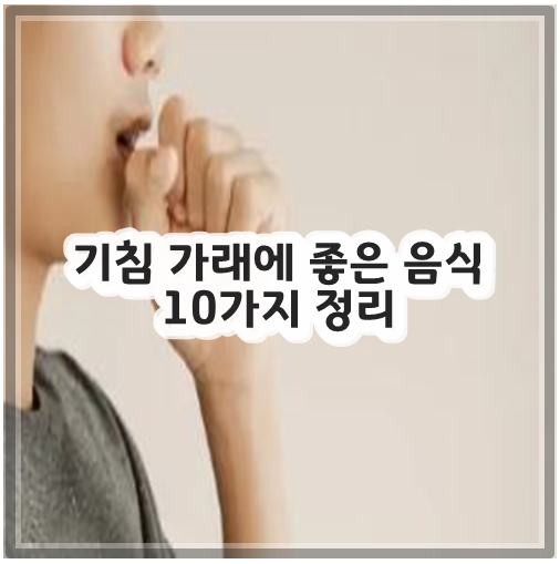 기침 가래에 좋은 음식 10가지 정리