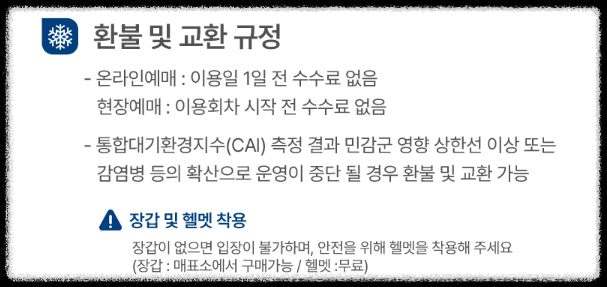 서울광장 스케이트장