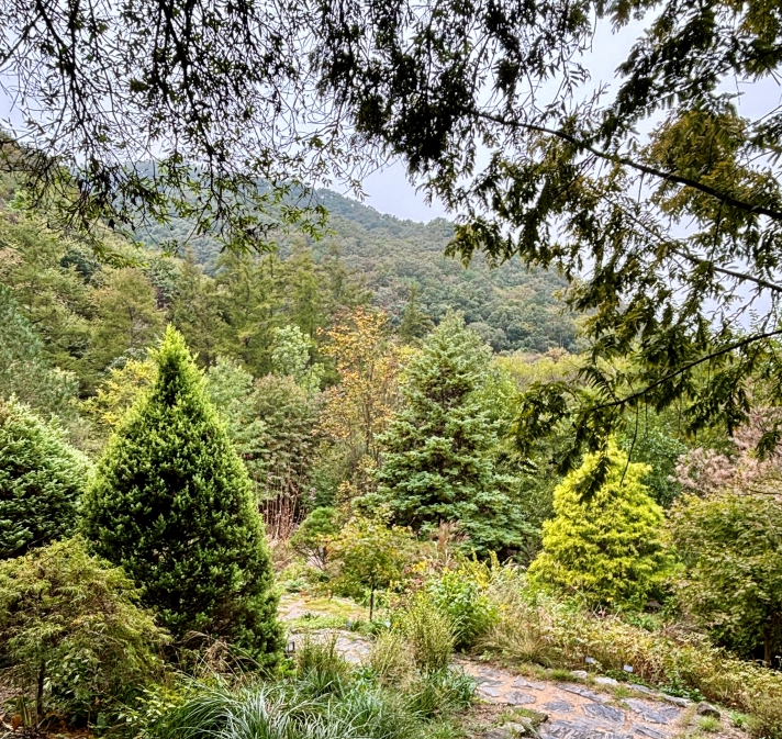 국립수목원 예약방법 주차장 이용안내 총정리!