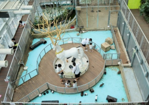 실내 데이트 스팟