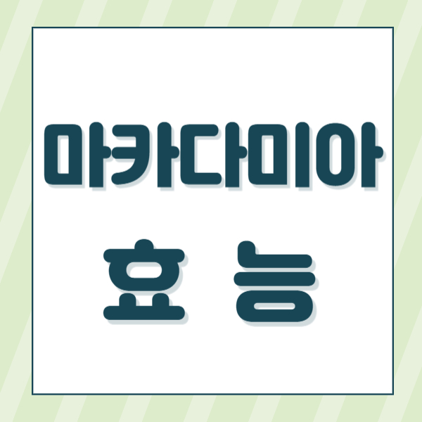 마카다미아 효능