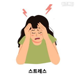 갱년기 증상