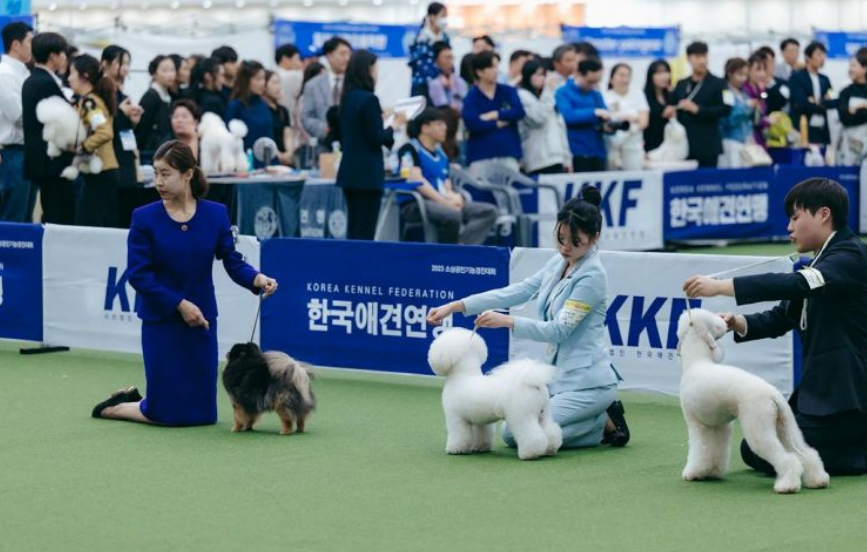 대구펫쇼