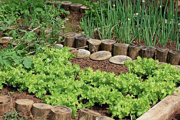 기토를 상징하는 작은 텃밭