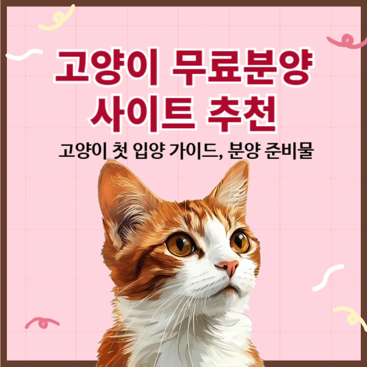 고양이 분양 방법