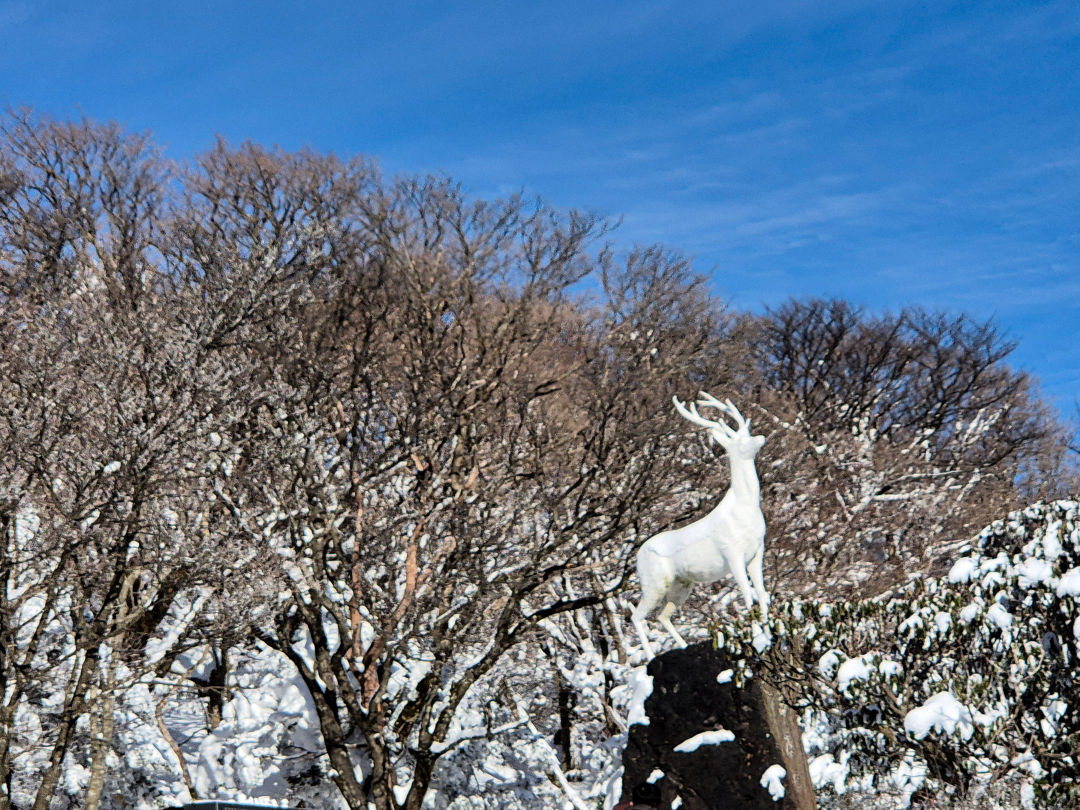 1100 고지 노루 석상