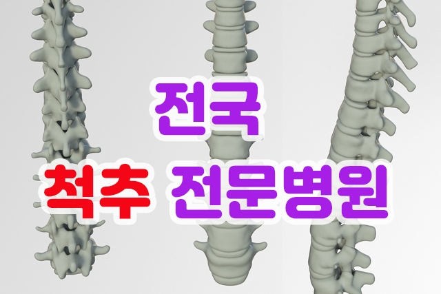 척추전문병원