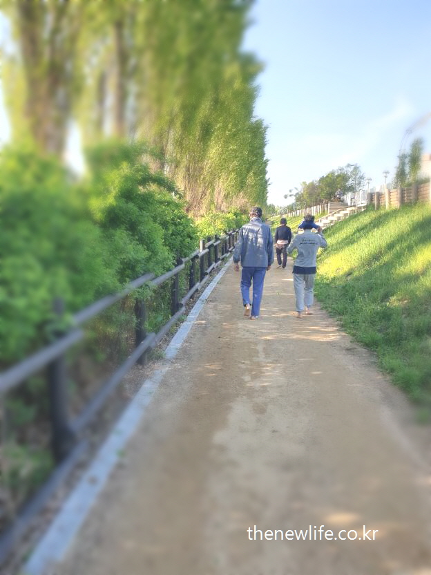 A group walking barefoot on a dirt path at Amsa Ecological Park-암사생태공원의 흙길을 따라 맨발 걷기 중인 여러 사람들