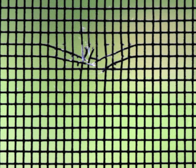 방충망 교체비용&amp;#44; 방충망 셀프교체&amp;#44; 아파트 방충망 교체비용&amp;#44; 방충망 교체방법&amp;#44; 방충망 설치&amp;#44; 방충망 가격&amp;#44; 미세 방충망 가격&amp;#44; 현관 방충망 설치 가격&amp;#44; 베란다 방충망 교체비용&amp;#44; 롤 방충망 가격&amp;#44; 롤 방충망 교체&amp;#44; 방충망 문&amp;#44; 창문 방충망 교체&amp;#44; 창문 방충망 비용&amp;#44; 창문 방충망 설치팁&amp;#44; 방충망 교체비용&amp;#44; 방충망 셀프교체&amp;#44; 아파트 방충망 교체비용&amp;#44; 방충망 교체방법&amp;#44; 방충망 설치&amp;#44; 방충망 가격&amp;#44; 미세 방충망 가격&amp;#44; 현관 방충망 설치 가격&amp;#44; 베란다 방충망 교체비용&amp;#44; 롤 방충망 가격&amp;#44; 롤 방충망 교체&amp;#44; 방충망 문&amp;#44; 창문 방충망 교체&amp;#44; 창문 방충망 비용&amp;#44; 창문 방충망 설치팁&amp;#44; 방충망 교체비용&amp;#44; 방충망 셀프교체&amp;#44; 아파트 방충망 교체비용&amp;#44; 방충망 교체방법&amp;#44; 방충망 설치&amp;#44; 방충망 가격&amp;#44; 미세 방충망 가격&amp;#44; 현관 방충망 설치 가격&amp;#44; 베란다 방충망 교체비용&amp;#44; 롤 방충망 가격&amp;#44; 롤 방충망 교체&amp;#44; 방충망 문&amp;#44; 창문 방충망 교체&amp;#44; 창문 방충망 비용&amp;#44; 창문 방충망 설치팁&amp;#44; 방충망 교체비용&amp;#44; 방충망 셀프교체&amp;#44; 아파트 방충망 교체비용&amp;#44; 방충망 교체방법&amp;#44; 방충망 설치&amp;#44; 방충망 가격&amp;#44; 미세 방충망 가격&amp;#44; 현관 방충망 설치 가격&amp;#44; 베란다 방충망 교체비용&amp;#44; 롤 방충망 가격&amp;#44; 롤 방충망 교체&amp;#44; 방충망 문&amp;#44; 창문 방충망 교체&amp;#44; 창문 방충망 비용&amp;#44; 창문 방충망 설치팁&amp;#44; 방충망 교체비용&amp;#44; 방충망 셀프교체&amp;#44; 아파트 방충망 교체비용&amp;#44; 방충망 교체방법&amp;#44; 방충망 설치&amp;#44; 방충망 가격&amp;#44; 미세 방충망 가격&amp;#44; 현관 방충망 설치 가격&amp;#44; 베란다 방충망 교체비용&amp;#44; 롤 방충망 가격&amp;#44; 롤 방충망 교체&amp;#44; 방충망 문&amp;#44; 창문 방충망 교체&amp;#44; 창문 방충망 비용&amp;#44; 창문 방충망 설치팁&amp;#44; 방충망 교체비용&amp;#44; 방충망 셀프교체&amp;#44; 아파트 방충망 교체비용&amp;#44; 방충망 교체방법&amp;#44; 방충망 설치&amp;#44; 방충망 가격&amp;#44; 미세 방충망 가격&amp;#44; 현관 방충망 설치 가격&amp;#44; 베란다 방충망 교체비용&amp;#44; 롤 방충망 가격&amp;#44; 롤 방충망 교체&amp;#44; 방충망 문&amp;#44; 창문 방충망 교체&amp;#44; 창문 방충망 비용&amp;#44; 창문 방충망 설치팁&amp;#44; 방충망 교체비용&amp;#44; 방충망 셀프교체&amp;#44; 아파트 방충망 교체비용&amp;#44; 방충망 교체방법&amp;#44; 방충망 설치&amp;#44; 방충망 가격&amp;#44; 미세 방충망 가격&amp;#44; 현관 방충망 설치 가격&amp;#44; 베란다 방충망 교체비용&amp;#44; 롤 방충망 가격&amp;#44; 롤 방충망 교체&amp;#44; 방충망 문&amp;#44; 창문 방충망 교체&amp;#44; 창문 방충망 비용&amp;#44; 창문 방충망 설치팁&amp;#44; 방충망 교체비용&amp;#44; 방충망 셀프교체&amp;#44; 아파트 방충망 교체비용&amp;#44; 방충망 교체방법&amp;#44; 방충망 설치&amp;#44; 방충망 가격&amp;#44; 미세 방충망 가격&amp;#44; 현관 방충망 설치 가격&amp;#44; 베란다 방충망 교체비용&amp;#44; 롤 방충망 가격&amp;#44; 롤 방충망 교체&amp;#44; 방충망 문&amp;#44; 창문 방충망 교체&amp;#44; 창문 방충망 비용&amp;#44; 창문 방충망 설치팁&amp;#44; 방충망 교체비용&amp;#44; 방충망 셀프교체&amp;#44; 아파트 방충망 교체비용&amp;#44; 방충망 교체방법&amp;#44; 방충망 설치&amp;#44; 방충망 가격&amp;#44; 미세 방충망 가격&amp;#44; 현관 방충망 설치 가격&amp;#44; 베란다 방충망 교체비용&amp;#44; 롤 방충망 가격&amp;#44; 롤 방충망 교체&amp;#44; 방충망 문&amp;#44; 창문 방충망 교체&amp;#44; 창문 방충망 비용&amp;#44; 창문 방충망 설치팁&amp;#44; 방충망 교체비용&amp;#44; 방충망 셀프교체&amp;#44; 아파트 방충망 교체비용&amp;#44; 방충망 교체방법&amp;#44; 방충망 설치&amp;#44; 방충망 가격&amp;#44; 미세 방충망 가격&amp;#44; 현관 방충망 설치 가격&amp;#44; 베란다 방충망 교체비용&amp;#44; 롤 방충망 가격&amp;#44; 롤 방충망 교체&amp;#44; 방충망 문&amp;#44; 창문 방충망 교체&amp;#44; 창문 방충망 비용&amp;#44; 창문 방충망 설치팁&amp;#44; 방충망 교체비용&amp;#44; 방충망 셀프교체&amp;#44; 아파트 방충망 교체비용&amp;#44; 방충망 교체방법&amp;#44; 방충망 설치&amp;#44; 방충망 가격&amp;#44; 미세 방충망 가격&amp;#44; 현관 방충망 설치 가격&amp;#44; 베란다 방충망 교체비용&amp;#44; 롤 방충망 가격&amp;#44; 롤 방충망 교체&amp;#44; 방충망 문&amp;#44; 창문 방충망 교체&amp;#44; 창문 방충망 비용&amp;#44; 창문 방충망 설치팁&amp;#44; 방충망 교체비용&amp;#44; 방충망 셀프교체&amp;#44; 아파트 방충망 교체비용&amp;#44; 방충망 교체방법&amp;#44; 방충망 설치&amp;#44; 방충망 가격&amp;#44; 미세 방충망 가격&amp;#44; 현관 방충망 설치 가격&amp;#44; 베란다 방충망 교체비용&amp;#44; 롤 방충망 가격&amp;#44; 롤 방충망 교체&amp;#44; 방충망 문&amp;#44; 창문 방충망 교체&amp;#44; 창문 방충망 비용&amp;#44; 창문 방충망 설치팁&amp;#44; 방충망 교체비용&amp;#44; 방충망 셀프교체&amp;#44; 아파트 방충망 교체비용&amp;#44; 방충망 교체방법&amp;#44; 방충망 설치&amp;#44; 방충망 가격&amp;#44; 미세 방충망 가격&amp;#44; 현관 방충망 설치 가격&amp;#44; 베란다 방충망 교체비용&amp;#44; 롤 방충망 가격&amp;#44; 롤 방충망 교체&amp;#44; 방충망 문&amp;#44; 창문 방충망 교체&amp;#44; 창문 방충망 비용&amp;#44; 창문 방충망 설치팁&amp;#44; 방충망 교체비용&amp;#44; 방충망 셀프교체&amp;#44; 아파트 방충망 교체비용&amp;#44; 방충망 교체방법&amp;#44; 방충망 설치&amp;#44; 방충망 가격&amp;#44; 미세 방충망 가격&amp;#44; 현관 방충망 설치 가격&amp;#44; 베란다 방충망 교체비용&amp;#44; 롤 방충망 가격&amp;#44; 롤 방충망 교체&amp;#44; 방충망 문&amp;#44; 창문 방충망 교체&amp;#44; 창문 방충망 비용&amp;#44; 창문 방충망 설치팁&amp;#44; 방충망 교체비용&amp;#44; 방충망 셀프교체&amp;#44; 아파트 방충망 교체비용&amp;#44; 방충망 교체방법&amp;#44; 방충망 설치&amp;#44; 방충망 가격&amp;#44; 미세 방충망 가격&amp;#44; 현관 방충망 설치 가격&amp;#44; 베란다 방충망 교체비용&amp;#44; 롤 방충망 가격&amp;#44; 롤 방충망 교체&amp;#44; 방충망 문&amp;#44; 창문 방충망 교체&amp;#44; 창문 방충망 비용&amp;#44; 창문 방충망 설치팁&amp;#44; 방충망 교체비용&amp;#44; 방충망 셀프교체&amp;#44; 아파트 방충망 교체비용&amp;#44; 방충망 교체방법&amp;#44; 방충망 설치&amp;#44; 방충망 가격&amp;#44; 미세 방충망 가격&amp;#44; 현관 방충망 설치 가격&amp;#44; 베란다 방충망 교체비용&amp;#44; 롤 방충망 가격&amp;#44; 롤 방충망 교체&amp;#44; 방충망 문&amp;#44; 창문 방충망 교체&amp;#44; 창문 방충망 비용&amp;#44; 창문 방충망 설치팁&amp;#44; 방충망 교체비용&amp;#44; 방충망 셀프교체&amp;#44; 아파트 방충망 교체비용&amp;#44; 방충망 교체방법&amp;#44; 방충망 설치&amp;#44; 방충망 가격&amp;#44; 미세 방충망 가격&amp;#44; 현관 방충망 설치 가격&amp;#44; 베란다 방충망 교체비용&amp;#44; 롤 방충망 가격&amp;#44; 롤 방충망 교체&amp;#44; 방충망 문&amp;#44; 창문 방충망 교체&amp;#44; 창문 방충망 비용&amp;#44; 창문 방충망 설치팁&amp;#44; 방충망 교체비용&amp;#44; 방충망 셀프교체&amp;#44; 아파트 방충망 교체비용&amp;#44; 방충망 교체방법&amp;#44; 방충망 설치&amp;#44; 방충망 가격&amp;#44; 미세 방충망 가격&amp;#44; 현관 방충망 설치 가격&amp;#44; 베란다 방충망 교체비용&amp;#44; 롤 방충망 가격&amp;#44; 롤 방충망 교체&amp;#44; 방충망 문&amp;#44; 창문 방충망 교체&amp;#44; 창문 방충망 비용&amp;#44; 창문 방충망 설치팁&amp;#44; 방충망 교체비용&amp;#44; 방충망 셀프교체&amp;#44; 아파트 방충망 교체비용&amp;#44; 방충망 교체방법&amp;#44; 방충망 설치&amp;#44; 방충망 가격&amp;#44; 미세 방충망 가격&amp;#44; 현관 방충망 설치 가격&amp;#44; 베란다 방충망 교체비용&amp;#44; 롤 방충망 가격&amp;#44; 롤 방충망 교체&amp;#44; 방충망 문&amp;#44; 창문 방충망 교체&amp;#44; 창문 방충망 비용&amp;#44; 창문 방충망 설치팁&amp;#44; 방충망 교체비용&amp;#44; 방충망 셀프교체&amp;#44; 아파트 방충망 교체비용&amp;#44; 방충망 교체방법&amp;#44; 방충망 설치&amp;#44; 방충망 가격&amp;#44; 미세 방충망 가격&amp;#44; 현관 방충망 설치 가격&amp;#44; 베란다 방충망 교체비용&amp;#44; 롤 방충망 가격&amp;#44; 롤 방충망 교체&amp;#44; 방충망 문&amp;#44; 창문 방충망 교체&amp;#44; 창문 방충망 비용&amp;#44; 창문 방충망 설치팁&amp;#44; 방충망 교체비용&amp;#44; 방충망 셀프교체&amp;#44; 아파트 방충망 교체비용&amp;#44; 방충망 교체방법&amp;#44; 방충망 설치&amp;#44; 방충망 가격&amp;#44; 미세 방충망 가격&amp;#44; 현관 방충망 설치 가격&amp;#44; 베란다 방충망 교체비용&amp;#44; 롤 방충망 가격&amp;#44; 롤 방충망 교체&amp;#44; 방충망 문&amp;#44; 창문 방충망 교체&amp;#44; 창문 방충망 비용&amp;#44; 창문 방충망 설치팁&amp;#44; 방충망 교체비용&amp;#44; 방충망 셀프교체&amp;#44; 아파트 방충망 교체비용&amp;#44; 방충망 교체방법&amp;#44; 방충망 설치&amp;#44; 방충망 가격&amp;#44; 미세 방충망 가격&amp;#44; 현관 방충망 설치 가격&amp;#44; 베란다 방충망 교체비용&amp;#44; 롤 방충망 가격&amp;#44; 롤 방충망 교체&amp;#44; 방충망 문&amp;#44; 창문 방충망 교체&amp;#44; 창문 방충망 비용&amp;#44; 창문 방충망 설치팁&amp;#44; 방충망 교체비용&amp;#44; 방충망 셀프교체&amp;#44; 아파트 방충망 교체비용&amp;#44; 방충망 교체방법&amp;#44; 방충망 설치&amp;#44; 방충망 가격&amp;#44; 미세 방충망 가격&amp;#44; 현관 방충망 설치 가격&amp;#44; 베란다 방충망 교체비용&amp;#44; 롤 방충망 가격&amp;#44; 롤 방충망 교체&amp;#44; 방충망 문&amp;#44; 창문 방충망 교체&amp;#44; 창문 방충망 비용&amp;#44; 창문 방충망 설치팁&amp;#44; 방충망 교체비용&amp;#44; 방충망 셀프교체&amp;#44; 아파트 방충망 교체비용&amp;#44; 방충망 교체방법&amp;#44; 방충망 설치&amp;#44; 방충망 가격&amp;#44; 미세 방충망 가격&amp;#44; 현관 방충망 설치 가격&amp;#44; 베란다 방충망 교체비용&amp;#44; 롤 방충망 가격&amp;#44; 롤 방충망 교체&amp;#44; 방충망 문&amp;#44; 창문 방충망 교체&amp;#44; 창문 방충망 비용&amp;#44; 창문 방충망 설치팁&amp;#44; 방충망 교체비용&amp;#44; 방충망 셀프교체&amp;#44; 아파트 방충망 교체비용&amp;#44; 방충망 교체방법&amp;#44; 방충망 설치&amp;#44; 방충망 가격&amp;#44; 미세 방충망 가격&amp;#44; 현관 방충망 설치 가격&amp;#44; 베란다 방충망 교체비용&amp;#44; 롤 방충망 가격&amp;#44; 롤 방충망 교체&amp;#44; 방충망 문&amp;#44; 창문 방충망 교체&amp;#44; 창문 방충망 비용&amp;#44; 창문 방충망 설치팁&amp;#44; 방충망 교체비용&amp;#44; 방충망 셀프교체&amp;#44; 아파트 방충망 교체비용&amp;#44; 방충망 교체방법&amp;#44; 방충망 설치&amp;#44; 방충망 가격&amp;#44; 미세 방충망 가격&amp;#44; 현관 방충망 설치 가격&amp;#44; 베란다 방충망 교체비용&amp;#44; 롤 방충망 가격&amp;#44; 롤 방충망 교체&amp;#44; 방충망 문&amp;#44; 창문 방충망 교체&amp;#44; 창문 방충망 비용&amp;#44; 창문 방충망 설치팁&amp;#44; 방충망 교체비용&amp;#44; 방충망 셀프교체&amp;#44; 아파트 방충망 교체비용&amp;#44; 방충망 교체방법&amp;#44; 방충망 설치&amp;#44; 방충망 가격&amp;#44; 미세 방충망 가격&amp;#44; 현관 방충망 설치 가격&amp;#44; 베란다 방충망 교체비용&amp;#44; 롤 방충망 가격&amp;#44; 롤 방충망 교체&amp;#44; 방충망 문&amp;#44; 창문 방충망 교체&amp;#44; 창문 방충망 비용&amp;#44; 창문 방충망 설치팁&amp;#44; 방충망 교체비용&amp;#44; 방충망 셀프교체&amp;#44; 아파트 방충망 교체비용&amp;#44; 방충망 교체방법&amp;#44; 방충망 설치&amp;#44; 방충망 가격&amp;#44; 미세 방충망 가격&amp;#44; 현관 방충망 설치 가격&amp;#44; 베란다 방충망 교체비용&amp;#44; 롤 방충망 가격&amp;#44; 롤 방충망 교체&amp;#44; 방충망 문&amp;#44; 창문 방충망 교체&amp;#44; 창문 방충망 비용&amp;#44; 창문 방충망 설치팁&amp;#44; 방충망 교체비용&amp;#44; 방충망 셀프교체&amp;#44; 아파트 방충망 교체비용&amp;#44; 방충망 교체방법&amp;#44; 방충망 설치&amp;#44; 방충망 가격&amp;#44; 미세 방충망 가격&amp;#44; 현관 방충망 설치 가격&amp;#44; 베란다 방충망 교체비용&amp;#44; 롤 방충망 가격&amp;#44; 롤 방충망 교체&amp;#44; 방충망 문&amp;#44; 창문 방충망 교체&amp;#44; 창문 방충망 비용&amp;#44; 창문 방충망 설치팁&amp;#44; 방충망 교체비용&amp;#44; 방충망 셀프교체&amp;#44; 아파트 방충망 교체비용&amp;#44; 방충망 교체방법&amp;#44; 방충망 설치&amp;#44; 방충망 가격&amp;#44; 미세 방충망 가격&amp;#44; 현관 방충망 설치 가격&amp;#44; 베란다 방충망 교체비용&amp;#44; 롤 방충망 가격&amp;#44; 롤 방충망 교체&amp;#44; 방충망 문&amp;#44; 창문 방충망 교체&amp;#44; 창문 방충망 비용&amp;#44; 창문 방충망 설치팁&amp;#44; 방충망 교체비용&amp;#44; 방충망 셀프교체&amp;#44; 아파트 방충망 교체비용&amp;#44; 방충망 교체방법&amp;#44; 방충망 설치&amp;#44; 방충망 가격&amp;#44; 미세 방충망 가격&amp;#44; 현관 방충망 설치 가격&amp;#44; 베란다 방충망 교체비용&amp;#44; 롤 방충망 가격&amp;#44; 롤 방충망 교체&amp;#44; 방충망 문&amp;#44; 창문 방충망 교체&amp;#44; 창문 방충망 비용&amp;#44; 창문 방충망 설치팁&amp;#44; 방충망 교체비용&amp;#44; 방충망 셀프교체&amp;#44; 아파트 방충망 교체비용&amp;#44; 방충망 교체방법&amp;#44; 방충망 설치&amp;#44; 방충망 가격&amp;#44; 미세 방충망 가격&amp;#44; 현관 방충망 설치 가격&amp;#44; 베란다 방충망 교체비용&amp;#44; 롤 방충망 가격&amp;#44; 롤 방충망 교체&amp;#44; 방충망 문&amp;#44; 창문 방충망 교체&amp;#44; 창문 방충망 비용&amp;#44; 창문 방충망 설치팁&amp;#44; 방충망 교체비용&amp;#44; 방충망 셀프교체&amp;#44; 아파트 방충망 교체비용&amp;#44; 방충망 교체방법&amp;#44; 방충망 설치&amp;#44; 방충망 가격&amp;#44; 미세 방충망 가격&amp;#44; 현관 방충망 설치 가격&amp;#44; 베란다 방충망 교체비용&amp;#44; 롤 방충망 가격&amp;#44; 롤 방충망 교체&amp;#44; 방충망 문&amp;#44; 창문 방충망 교체&amp;#44; 창문 방충망 비용&amp;#44; 창문 방충망 설치팁&amp;#44; 방충망 교체비용&amp;#44; 방충망 셀프교체&amp;#44; 아파트 방충망 교체비용&amp;#44; 방충망 교체방법&amp;#44; 방충망 설치&amp;#44; 방충망 가격&amp;#44; 미세 방충망 가격&amp;#44; 현관 방충망 설치 가격&amp;#44; 베란다 방충망 교체비용&amp;#44; 롤 방충망 가격&amp;#44; 롤 방충망 교체&amp;#44; 방충망 문&amp;#44; 창문 방충망 교체&amp;#44; 창문 방충망 비용&amp;#44; 창문 방충망 설치팁&amp;#44; 방충망 교체비용&amp;#44; 방충망 셀프교체&amp;#44; 아파트 방충망 교체비용&amp;#44; 방충망 교체방법&amp;#44; 방충망 설치&amp;#44; 방충망 가격&amp;#44; 미세 방충망 가격&amp;#44; 현관 방충망 설치 가격&amp;#44; 베란다 방충망 교체비용&amp;#44; 롤 방충망 가격&amp;#44; 롤 방충망 교체&amp;#44; 방충망 문&amp;#44; 창문 방충망 교체&amp;#44; 창문 방충망 비용&amp;#44; 창문 방충망 설치팁&amp;#44; 방충망 교체비용&amp;#44; 방충망 셀프교체&amp;#44; 아파트 방충망 교체비용&amp;#44; 방충망 교체방법&amp;#44; 방충망 설치&amp;#44; 방충망 가격&amp;#44; 미세 방충망 가격&amp;#44; 현관 방충망 설치 가격&amp;#44; 베란다 방충망 교체비용&amp;#44; 롤 방충망 가격&amp;#44; 롤 방충망 교체&amp;#44; 방충망 문&amp;#44; 창문 방충망 교체&amp;#44; 창문 방충망 비용&amp;#44; 창문 방충망 설치팁&amp;#44; 방충망 교체비용&amp;#44; 방충망 셀프교체&amp;#44; 아파트 방충망 교체비용&amp;#44; 방충망 교체방법&amp;#44; 방충망 설치&amp;#44; 방충망 가격&amp;#44; 미세 방충망 가격&amp;#44; 현관 방충망 설치 가격&amp;#44; 베란다 방충망 교체비용&amp;#44; 롤 방충망 가격&amp;#44; 롤 방충망 교체&amp;#44; 방충망 문&amp;#44; 창문 방충망 교체&amp;#44; 창문 방충망 비용&amp;#44; 창문 방충망 설치팁&amp;#44; 방충망 교체비용&amp;#44; 방충망 셀프교체&amp;#44; 아파트 방충망 교체비용&amp;#44; 방충망 교체방법&amp;#44; 방충망 설치&amp;#44; 방충망 가격&amp;#44; 미세 방충망 가격&amp;#44; 현관 방충망 설치 가격&amp;#44; 베란다 방충망 교체비용&amp;#44; 롤 방충망 가격&amp;#44; 롤 방충망 교체&amp;#44; 방충망 문&amp;#44; 창문 방충망 교체&amp;#44; 창문 방충망 비용&amp;#44; 창문 방충망 설치팁&amp;#44; 방충망 교체비용&amp;#44; 방충망 셀프교체&amp;#44; 아파트 방충망 교체비용&amp;#44; 방충망 교체방법&amp;#44; 방충망 설치&amp;#44; 방충망 가격&amp;#44; 미세 방충망 가격&amp;#44; 현관 방충망 설치 가격&amp;#44; 베란다 방충망 교체비용&amp;#44; 롤 방충망 가격&amp;#44; 롤 방충망 교체&amp;#44; 방충망 문&amp;#44; 창문 방충망 교체&amp;#44; 창문 방충망 비용&amp;#44; 창문 방충망 설치팁&amp;#44; 방충망 교체비용&amp;#44; 방충망 셀프교체&amp;#44; 아파트 방충망 교체비용&amp;#44; 방충망 교체방법&amp;#44; 방충망 설치&amp;#44; 방충망 가격&amp;#44; 미세 방충망 가격&amp;#44; 현관 방충망 설치 가격&amp;#44; 베란다 방충망 교체비용&amp;#44; 롤 방충망 가격&amp;#44; 롤 방충망 교체&amp;#44; 방충망 문&amp;#44; 창문 방충망 교체&amp;#44; 창문 방충망 비용&amp;#44; 창문 방충망 설치팁&amp;#44; 방충망 교체비용&amp;#44; 방충망 셀프교체&amp;#44; 아파트 방충망 교체비용&amp;#44; 방충망 교체방법&amp;#44; 방충망 설치&amp;#44; 방충망 가격&amp;#44; 미세 방충망 가격&amp;#44; 현관 방충망 설치 가격&amp;#44; 베란다 방충망 교체비용&amp;#44; 롤 방충망 가격&amp;#44; 롤 방충망 교체&amp;#44; 방충망 문&amp;#44; 창문 방충망 교체&amp;#44; 창문 방충망 비용&amp;#44; 창문 방충망 설치팁&amp;#44; 방충망 교체비용&amp;#44; 방충망 셀프교체&amp;#44; 아파트 방충망 교체비용&amp;#44; 방충망 교체방법&amp;#44; 방충망 설치&amp;#44; 방충망 가격&amp;#44; 미세 방충망 가격&amp;#44; 현관 방충망 설치 가격&amp;#44; 베란다 방충망 교체비용&amp;#44; 롤 방충망 가격&amp;#44; 롤 방충망 교체&amp;#44; 방충망 문&amp;#44; 창문 방충망 교체&amp;#44; 창문 방충망 비용&amp;#44; 창문 방충망 설치팁&amp;#44; 방충망 교체비용&amp;#44; 방충망 셀프교체&amp;#44; 아파트 방충망 교체비용&amp;#44; 방충망 교체방법&amp;#44; 방충망 설치&amp;#44; 방충망 가격&amp;#44; 미세 방충망 가격&amp;#44; 현관 방충망 설치 가격&amp;#44; 베란다 방충망 교체비용&amp;#44; 롤 방충망 가격&amp;#44; 롤 방충망 교체&amp;#44; 방충망 문&amp;#44; 창문 방충망 교체&amp;#44; 창문 방충망 비용&amp;#44; 창문 방충망 설치팁&amp;#44; 방충망 교체비용&amp;#44; 방충망 셀프교체&amp;#44; 아파트 방충망 교체비용&amp;#44; 방충망 교체방법&amp;#44; 방충망 설치&amp;#44; 방충망 가격&amp;#44; 미세 방충망 가격&amp;#44; 현관 방충망 설치 가격&amp;#44; 베란다 방충망 교체비용&amp;#44; 롤 방충망 가격&amp;#44; 롤 방충망 교체&amp;#44; 방충망 문&amp;#44; 창문 방충망 교체&amp;#44; 창문 방충망 비용&amp;#44; 창문 방충망 설치팁&amp;#44; 방충망 교체비용&amp;#44; 방충망 셀프교체&amp;#44; 아파트 방충망 교체비용&amp;#44; 방충망 교체방법&amp;#44; 방충망 설치&amp;#44; 방충망 가격&amp;#44; 미세 방충망 가격&amp;#44; 현관 방충망 설치 가격&amp;#44; 베란다 방충망 교체비용&amp;#44; 롤 방충망 가격&amp;#44; 롤 방충망 교체&amp;#44; 방충망 문&amp;#44; 창문 방충망 교체&amp;#44; 창문 방충망 비용&amp;#44; 창문 방충망 설치팁&amp;#44; 방충망 교체비용&amp;#44; 방충망 셀프교체&amp;#44; 아파트 방충망 교체비용&amp;#44; 방충망 교체방법&amp;#44; 방충망 설치&amp;#44; 방충망 가격&amp;#44; 미세 방충망 가격&amp;#44; 현관 방충망 설치 가격&amp;#44; 베란다 방충망 교체비용&amp;#44; 롤 방충망 가격&amp;#44; 롤 방충망 교체&amp;#44; 방충망 문&amp;#44; 창문 방충망 교체&amp;#44; 창문 방충망 비용&amp;#44; 창문 방충망 설치팁&amp;#44; 방충망 교체비용&amp;#44; 방충망 셀프교체&amp;#44; 아파트 방충망 교체비용&amp;#44; 방충망 교체방법&amp;#44; 방충망 설치&amp;#44; 방충망 가격&amp;#44; 미세 방충망 가격&amp;#44; 현관 방충망 설치 가격&amp;#44; 베란다 방충망 교체비용&amp;#44; 롤 방충망 가격&amp;#44; 롤 방충망 교체&amp;#44; 방충망 문&amp;#44; 창문 방충망 교체&amp;#44; 창문 방충망 비용&amp;#44; 창문 방충망 설치팁&amp;#44; 방충망 교체비용&amp;#44; 방충망 셀프교체&amp;#44; 아파트 방충망 교체비용&amp;#44; 방충망 교체방법&amp;#44; 방충망 설치&amp;#44; 방충망 가격&amp;#44; 미세 방충망 가격&amp;#44; 현관 방충망 설치 가격&amp;#44; 베란다 방충망 교체비용&amp;#44; 롤 방충망 가격&amp;#44; 롤 방충망 교체&amp;#44; 방충망 문&amp;#44; 창문 방충망 교체&amp;#44; 창문 방충망 비용&amp;#44; 창문 방충망 설치팁&amp;#44; 방충망 교체비용&amp;#44; 방충망 셀프교체&amp;#44; 아파트 방충망 교체비용&amp;#44; 방충망 교체방법&amp;#44; 방충망 설치&amp;#44; 방충망 가격&amp;#44; 미세 방충망 가격&amp;#44; 현관 방충망 설치 가격&amp;#44; 베란다 방충망 교체비용&amp;#44; 롤 방충망 가격&amp;#44; 롤 방충망 교체&amp;#44; 방충망 문&amp;#44; 창문 방충망 교체&amp;#44; 창문 방충망 비용&amp;#44; 창문 방충망 설치팁&amp;#44; 방충망 교체비용&amp;#44; 방충망 셀프교체&amp;#44; 아파트 방충망 교체비용&amp;#44; 방충망 교체방법&amp;#44; 방충망 설치&amp;#44; 방충망 가격&amp;#44; 미세 방충망 가격&amp;#44; 현관 방충망 설치 가격&amp;#44; 베란다 방충망 교체비용&amp;#44; 롤 방충망 가격&amp;#44; 롤 방충망 교체&amp;#44; 방충망 문&amp;#44; 창문 방충망 교체&amp;#44; 창문 방충망 비용&amp;#44; 창문 방충망 설치팁&amp;#44; 방충망 교체비용&amp;#44; 방충망 셀프교체&amp;#44; 아파트 방충망 교체비용&amp;#44; 방충망 교체방법&amp;#44; 방충망 설치&amp;#44; 방충망 가격&amp;#44; 미세 방충망 가격&amp;#44; 현관 방충망 설치 가격&amp;#44; 베란다 방충망 교체비용&amp;#44; 롤 방충망 가격&amp;#44; 롤 방충망 교체&amp;#44; 방충망 문&amp;#44; 창문 방충망 교체&amp;#44; 창문 방충망 비용&amp;#44; 창문 방충망 설치팁&amp;#44; 방충망 교체비용&amp;#44; 방충망 셀프교체&amp;#44; 아파트 방충망 교체비용&amp;#44; 방충망 교체방법&amp;#44; 방충망 설치&amp;#44; 방충망 가격&amp;#44; 미세 방충망 가격&amp;#44; 현관 방충망 설치 가격&amp;#44; 베란다 방충망 교체비용&amp;#44; 롤 방충망 가격&amp;#44; 롤 방충망 교체&amp;#44; 방충망 문&amp;#44; 창문 방충망 교체&amp;#44; 창문 방충망 비용&amp;#44; 창문 방충망 설치팁&amp;#44; 방충망 교체비용&amp;#44; 방충망 셀프교체&amp;#44; 아파트 방충망 교체비용&amp;#44; 방충망 교체방법&amp;#44; 방충망 설치&amp;#44; 방충망 가격&amp;#44; 미세 방충망 가격&amp;#44; 현관 방충망 설치 가격&amp;#44; 베란다 방충망 교체비용&amp;#44; 롤 방충망 가격&amp;#44; 롤 방충망 교체&amp;#44; 방충망 문&amp;#44; 창문 방충망 교체&amp;#44; 창문 방충망 비용&amp;#44; 창문 방충망 설치팁&amp;#44; 방충망 교체비용&amp;#44; 방충망 셀프교체&amp;#44; 아파트 방충망 교체비용&amp;#44; 방충망 교체방법&amp;#44; 방충망 설치&amp;#44; 방충망 가격&amp;#44; 미세 방충망 가격&amp;#44; 현관 방충망 설치 가격&amp;#44; 베란다 방충망 교체비용&amp;#44; 롤 방충망 가격&amp;#44; 롤 방충망 교체&amp;#44; 방충망 문&amp;#44; 창문 방충망 교체&amp;#44; 창문 방충망 비용&amp;#44; 창문 방충망 설치팁&amp;#44; 방충망 교체비용&amp;#44; 방충망 셀프교체&amp;#44; 아파트 방충망 교체비용&amp;#44; 방충망 교체방법&amp;#44; 방충망 설치&amp;#44; 방충망 가격&amp;#44; 미세 방충망 가격&amp;#44; 현관 방충망 설치 가격&amp;#44; 베란다 방충망 교체비용&amp;#44; 롤 방충망 가격&amp;#44; 롤 방충망 교체&amp;#44; 방충망 문&amp;#44; 창문 방충망 교체&amp;#44; 창문 방충망 비용&amp;#44; 창문 방충망 설치팁&amp;#44; 방충망 교체비용&amp;#44; 방충망 셀프교체&amp;#44; 아파트 방충망 교체비용&amp;#44; 방충망 교체방법&amp;#44; 방충망 설치&amp;#44; 방충망 가격&amp;#44; 미세 방충망 가격&amp;#44; 현관 방충망 설치 가격&amp;#44; 베란다 방충망 교체비용&amp;#44; 롤 방충망 가격&amp;#44; 롤 방충망 교체&amp;#44; 방충망 문&amp;#44; 창문 방충망 교체&amp;#44; 창문 방충망 비용&amp;#44; 창문 방충망 설치팁&amp;#44; 방충망 교체비용&amp;#44; 방충망 셀프교체&amp;#44; 아파트 방충망 교체비용&amp;#44; 방충망 교체방법&amp;#44; 방충망 설치&amp;#44; 방충망 가격&amp;#44; 미세 방충망 가격&amp;#44; 현관 방충망 설치 가격&amp;#44; 베란다 방충망 교체비용&amp;#44; 롤 방충망 가격&amp;#44; 롤 방충망 교체&amp;#44; 방충망 문&amp;#44; 창문 방충망 교체&amp;#44; 창문 방충망 비용&amp;#44; 창문 방충망 설치팁&amp;#44; 방충망 교체비용&amp;#44; 방충망 셀프교체&amp;#44; 아파트 방충망 교체비용&amp;#44; 방충망 교체방법&amp;#44; 방충망 설치&amp;#44; 방충망 가격&amp;#44; 미세 방충망 가격&amp;#44; 현관 방충망 설치 가격&amp;#44; 베란다 방충망 교체비용&amp;#44; 롤 방충망 가격&amp;#44; 롤 방충망 교체&amp;#44; 방충망 문&amp;#44; 창문 방충망 교체&amp;#44; 창문 방충망 비용&amp;#44; 창문 방충망 설치팁&amp;#44; 방충망 교체비용&amp;#44; 방충망 셀프교체&amp;#44; 아파트 방충망 교체비용&amp;#44; 방충망 교체방법&amp;#44; 방충망 설치&amp;#44; 방충망 가격&amp;#44; 미세 방충망 가격&amp;#44; 현관 방충망 설치 가격&amp;#44; 베란다 방충망 교체비용&amp;#44; 롤 방충망 가격&amp;#44; 롤 방충망 교체&amp;#44; 방충망 문&amp;#44; 창문 방충망 교체&amp;#44; 창문 방충망 비용&amp;#44; 창문 방충망 설치팁&amp;#44; 방충망 교체비용&amp;#44; 방충망 셀프교체&amp;#44; 아파트 방충망 교체비용&amp;#44; 방충망 교체방법&amp;#44; 방충망 설치&amp;#44; 방충망 가격&amp;#44; 미세 방충망 가격&amp;#44; 현관 방충망 설치 가격&amp;#44; 베란다 방충망 교체비용&amp;#44; 롤 방충망 가격&amp;#44; 롤 방충망 교체&amp;#44; 방충망 문&amp;#44; 창문 방충망 교체&amp;#44; 창문 방충망 비용&amp;#44; 창문 방충망 설치팁&amp;#44; 방충망 교체비용&amp;#44; 방충망 셀프교체&amp;#44; 아파트 방충망 교체비용&amp;#44; 방충망 교체방법&amp;#44; 방충망 설치&amp;#44; 방충망 가격&amp;#44; 미세 방충망 가격&amp;#44; 현관 방충망 설치 가격&amp;#44; 베란다 방충망 교체비용&amp;#44; 롤 방충망 가격&amp;#44; 롤 방충망 교체&amp;#44; 방충망 문&amp;#44; 창문 방충망 교체&amp;#44; 창문 방충망 비용&amp;#44; 창문 방충망 설치팁&amp;#44; 방충망 교체비용&amp;#44; 방충망 셀프교체&amp;#44; 아파트 방충망 교체비용&amp;#44; 방충망 교체방법&amp;#44; 방충망 설치&amp;#44; 방충망 가격&amp;#44; 미세 방충망 가격&amp;#44; 현관 방충망 설치 가격&amp;#44; 베란다 방충망 교체비용&amp;#44; 롤 방충망 가격&amp;#44; 롤 방충망 교체&amp;#44; 방충망 문&amp;#44; 창문 방충망 교체&amp;#44; 창문 방충망 비용&amp;#44; 창문 방충망 설치팁&amp;#44; 방충망 교체비용&amp;#44; 방충망 셀프교체&amp;#44; 아파트 방충망 교체비용&amp;#44; 방충망 교체방법&amp;#44; 방충망 설치&amp;#44; 방충망 가격&amp;#44; 미세 방충망 가격&amp;#44; 현관 방충망 설치 가격&amp;#44; 베란다 방충망 교체비용&amp;#44; 롤 방충망 가격&amp;#44; 롤 방충망 교체&amp;#44; 방충망 문&amp;#44; 창문 방충망 교체&amp;#44; 창문 방충망 비용&amp;#44; 창문 방충망 설치팁&amp;#44; 방충망 교체비용&amp;#44; 방충망 셀프교체&amp;#44; 아파트 방충망 교체비용&amp;#44; 방충망 교체방법&amp;#44; 방충망 설치&amp;#44; 방충망 가격&amp;#44; 미세 방충망 가격&amp;#44; 현관 방충망 설치 가격&amp;#44; 베란다 방충망 교체비용&amp;#44; 롤 방충망 가격&amp;#44; 롤 방충망 교체&amp;#44; 방충망 문&amp;#44; 창문 방충망 교체&amp;#44; 창문 방충망 비용&amp;#44; 창문 방충망 설치팁&amp;#44; 방충망 교체비용&amp;#44; 방충망 셀프교체&amp;#44; 아파트 방충망 교체비용&amp;#44; 방충망 교체방법&amp;#44; 방충망 설치&amp;#44; 방충망 가격&amp;#44; 미세 방충망 가격&amp;#44; 현관 방충망 설치 가격&amp;#44; 베란다 방충망 교체비용&amp;#44; 롤 방충망 가격&amp;#44; 롤 방충망 교체&amp;#44; 방충망 문&amp;#44; 창문 방충망 교체&amp;#44; 창문 방충망 비용&amp;#44; 창문 방충망 설치팁&amp;#44; 방충망 교체비용&amp;#44; 방충망 셀프교체&amp;#44; 아파트 방충망 교체비용&amp;#44; 방충망 교체방법&amp;#44; 방충망 설치&amp;#44; 방충망 가격&amp;#44; 미세 방충망 가격&amp;#44; 현관 방충망 설치 가격&amp;#44; 베란다 방충망 교체비용&amp;#44; 롤 방충망 가격&amp;#44; 롤 방충망 교체&amp;#44; 방충망 문&amp;#44; 창문 방충망 교체&amp;#44; 창문 방충망 비용&amp;#44; 창문 방충망 설치팁&amp;#44; 방충망 교체비용&amp;#44; 방충망 셀프교체&amp;#44; 아파트 방충망 교체비용&amp;#44; 방충망 교체방법&amp;#44; 방충망 설치&amp;#44; 방충망 가격&amp;#44; 미세 방충망 가격&amp;#44; 현관 방충망 설치 가격&amp;#44; 베란다 방충망 교체비용&amp;#44; 롤 방충망 가격&amp;#44; 롤 방충망 교체&amp;#44; 방충망 문&amp;#44; 창문 방충망 교체&amp;#44; 창문 방충망 비용&amp;#44; 창문 방충망 설치팁&amp;#44; 방충망 교체비용&amp;#44; 방충망 셀프교체&amp;#44; 아파트 방충망 교체비용&amp;#44; 방충망 교체방법&amp;#44; 방충망 설치&amp;#44; 방충망 가격&amp;#44; 미세 방충망 가격&amp;#44; 현관 방충망 설치 가격&amp;#44; 베란다 방충망 교체비용&amp;#44; 롤 방충망 가격&amp;#44; 롤 방충망 교체&amp;#44; 방충망 문&amp;#44; 창문 방충망 교체&amp;#44; 창문 방충망 비용&amp;#44; 창문 방충망 설치팁&amp;#44; 방충망 교체비용&amp;#44; 방충망 셀프교체&amp;#44; 아파트 방충망 교체비용&amp;#44; 방충망 교체방법&amp;#44; 방충망 설치&amp;#44; 방충망 가격&amp;#44; 미세 방충망 가격&amp;#44; 현관 방충망 설치 가격&amp;#44; 베란다 방충망 교체비용&amp;#44; 롤 방충망 가격&amp;#44; 롤 방충망 교체&amp;#44; 방충망 문&amp;#44; 창문 방충망 교체&amp;#44; 창문 방충망 비용&amp;#44; 창문 방충망 설치팁&amp;#44; 방충망 교체비용&amp;#44; 방충망 셀프교체&amp;#44; 아파트 방충망 교체비용&amp;#44; 방충망 교체방법&amp;#44; 방충망 설치&amp;#44; 방충망 가격&amp;#44; 미세 방충망 가격&amp;#44; 현관 방충망 설치 가격&amp;#44; 베란다 방충망 교체비용&amp;#44; 롤 방충망 가격&amp;#44; 롤 방충망 교체&amp;#44; 방충망 문&amp;#44; 창문 방충망 교체&amp;#44; 창문 방충망 비용&amp;#44; 창문 방충망 설치팁&amp;#44; 방충망 교체비용&amp;#44; 방충망 셀프교체&amp;#44; 아파트 방충망 교체비용&amp;#44; 방충망 교체방법&amp;#44; 방충망 설치&amp;#44; 방충망 가격&amp;#44; 미세 방충망 가격&amp;#44; 현관 방충망 설치 가격&amp;#44; 베란다 방충망 교체비용&amp;#44; 롤 방충망 가격&amp;#44; 롤 방충망 교체&amp;#44; 방충망 문&amp;#44; 창문 방충망 교체&amp;#44; 창문 방충망 비용&amp;#44; 창문 방충망 설치팁&amp;#44; 방충망 교체비용&amp;#44; 방충망 셀프교체&amp;#44; 아파트 방충망 교체비용&amp;#44; 방충망 교체방법&amp;#44; 방충망 설치&amp;#44; 방충망 가격&amp;#44; 미세 방충망 가격&amp;#44; 현관 방충망 설치 가격&amp;#44; 베란다 방충망 교체비용&amp;#44; 롤 방충망 가격&amp;#44; 롤 방충망 교체&amp;#44; 방충망 문&amp;#44; 창문 방충망 교체&amp;#44; 창문 방충망 비용&amp;#44; 창문 방충망 설치팁&amp;#44; 방충망 교체비용&amp;#44; 방충망 셀프교체&amp;#44; 아파트 방충망 교체비용&amp;#44; 방충망 교체방법&amp;#44; 방충망 설치&amp;#44; 방충망 가격&amp;#44; 미세 방충망 가격&amp;#44; 현관 방충망 설치 가격&amp;#44; 베란다 방충망 교체비용&amp;#44; 롤 방충망 가격&amp;#44; 롤 방충망 교체&amp;#44; 방충망 문&amp;#44; 창문 방충망 교체&amp;#44; 창문 방충망 비용&amp;#44; 창문 방충망 설치팁&amp;#44; 방충망 교체비용&amp;#44; 방충망 셀프교체&amp;#44; 아파트 방충망 교체비용&amp;#44; 방충망 교체방법&amp;#44; 방충망 설치&amp;#44; 방충망 가격&amp;#44; 미세 방충망 가격&amp;#44; 현관 방충망 설치 가격&amp;#44; 베란다 방충망 교체비용&amp;#44; 롤 방충망 가격&amp;#44; 롤 방충망 교체&amp;#44; 방충망 문&amp;#44; 창문 방충망 교체&amp;#44; 창문 방충망 비용&amp;#44; 창문 방충망 설치팁&amp;#44; 방충망 교체비용&amp;#44; 방충망 셀프교체&amp;#44; 아파트 방충망 교체비용&amp;#44; 방충망 교체방법&amp;#44; 방충망 설치&amp;#44; 방충망 가격&amp;#44; 미세 방충망 가격&amp;#44; 현관 방충망 설치 가격&amp;#44; 베란다 방충망 교체비용&amp;#44; 롤 방충망 가격&amp;#44; 롤 방충망 교체&amp;#44; 방충망 문&amp;#44; 창문 방충망 교체&amp;#44; 창문 방충망 비용&amp;#44; 창문 방충망 설치팁&amp;#44; 방충망 교체비용&amp;#44; 방충망 셀프교체&amp;#44; 아파트 방충망 교체비용&amp;#44; 방충망 교체방법&amp;#44; 방충망 설치&amp;#44; 방충망 가격&amp;#44; 미세 방충망 가격&amp;#44; 현관 방충망 설치 가격&amp;#44; 베란다 방충망 교체비용&amp;#44; 롤 방충망 가격&amp;#44; 롤 방충망 교체&amp;#44; 방충망 문&amp;#44; 창문 방충망 교체&amp;#44; 창문 방충망 비용&amp;#44; 창문 방충망 설치팁&amp;#44; 방충망 교체비용&amp;#44; 방충망 셀프교체&amp;#44; 아파트 방충망 교체비용&amp;#44; 방충망 교체방법&amp;#44; 방충망 설치&amp;#44; 방충망 가격&amp;#44; 미세 방충망 가격&amp;#44; 현관 방충망 설치 가격&amp;#44; 베란다 방충망 교체비용&amp;#44; 롤 방충망 가격&amp;#44; 롤 방충망 교체&amp;#44; 방충망 문&amp;#44; 창문 방충망 교체&amp;#44; 창문 방충망 비용&amp;#44; 창문 방충망 설치팁&amp;#44; 방충망 교체비용&amp;#44; 방충망 셀프교체&amp;#44; 아파트 방충망 교체비용&amp;#44; 방충망 교체방법&amp;#44; 방충망 설치&amp;#44; 방충망 가격&amp;#44; 미세 방충망 가격&amp;#44; 현관 방충망 설치 가격&amp;#44; 베란다 방충망 교체비용&amp;#44; 롤 방충망 가격&amp;#44; 롤 방충망 교체&amp;#44; 방충망 문&amp;#44; 창문 방충망 교체&amp;#44; 창문 방충망 비용&amp;#44; 창문 방충망 설치팁&amp;#44; 방충망 교체비용&amp;#44; 방충망 셀프교체&amp;#44; 아파트 방충망 교체비용&amp;#44; 방충망 교체방법&amp;#44; 방충망 설치&amp;#44; 방충망 가격&amp;#44; 미세 방충망 가격&amp;#44; 현관 방충망 설치 가격&amp;#44; 베란다 방충망 교체비용&amp;#44; 롤 방충망 가격&amp;#44; 롤 방충망 교체&amp;#44; 방충망 문&amp;#44; 창문 방충망 교체&amp;#44; 창문 방충망 비용&amp;#44; 창문 방충망 설치팁&amp;#44; 방충망 교체비용&amp;#44; 방충망 셀프교체&amp;#44; 아파트 방충망 교체비용&amp;#44; 방충망 교체방법&amp;#44; 방충망 설치&amp;#44; 방충망 가격&amp;#44; 미세 방충망 가격&amp;#44; 현관 방충망 설치 가격&amp;#44; 베란다 방충망 교체비용&amp;#44; 롤 방충망 가격&amp;#44; 롤 방충망 교체&amp;#44; 방충망 문&amp;#44; 창문 방충망 교체&amp;#44; 창문 방충망 비용&amp;#44; 창문 방충망 설치팁&amp;#44; 방충망 교체비용&amp;#44; 방충망 셀프교체&amp;#44; 아파트 방충망 교체비용&amp;#44; 방충망 교체방법&amp;#44; 방충망 설치&amp;#44; 방충망 가격&amp;#44; 미세 방충망 가격&amp;#44; 현관 방충망 설치 가격&amp;#44; 베란다 방충망 교체비용&amp;#44; 롤 방충망 가격&amp;#44; 롤 방충망 교체&amp;#44; 방충망 문&amp;#44; 창문 방충망 교체&amp;#44; 창문 방충망 비용&amp;#44; 창문 방충망 설치팁&amp;#44; 방충망 교체비용&amp;#44; 방충망 셀프교체&amp;#44; 아파트 방충망 교체비용&amp;#44; 방충망 교체방법&amp;#44; 방충망 설치&amp;#44; 방충망 가격&amp;#44; 미세 방충망 가격&amp;#44; 현관 방충망 설치 가격&amp;#44; 베란다 방충망 교체비용&amp;#44; 롤 방충망 가격&amp;#44; 롤 방충망 교체&amp;#44; 방충망 문&amp;#44; 창문 방충망 교체&amp;#44; 창문 방충망 비용&amp;#44; 창문 방충망 설치팁&amp;#44; 방충망 교체비용&amp;#44; 방충망 셀프교체&amp;#44; 아파트 방충망 교체비용&amp;#44; 방충망 교체방법&amp;#44; 방충망 설치&amp;#44; 방충망 가격&amp;#44; 미세 방충망 가격&amp;#44; 현관 방충망 설치 가격&amp;#44; 베란다 방충망 교체비용&amp;#44; 롤 방충망 가격&amp;#44; 롤 방충망 교체&amp;#44; 방충망 문&amp;#44; 창문 방충망 교체&amp;#44; 창문 방충망 비용&amp;#44; 창문 방충망 설치팁&amp;#44; 방충망 교체비용&amp;#44; 방충망 셀프교체&amp;#44; 아파트 방충망 교체비용&amp;#44; 방충망 교체방법&amp;#44; 방충망 설치&amp;#44; 방충망 가격&amp;#44; 미세 방충망 가격&amp;#44; 현관 방충망 설치 가격&amp;#44; 베란다 방충망 교체비용&amp;#44; 롤 방충망 가격&amp;#44; 롤 방충망 교체&amp;#44; 방충망 문&amp;#44; 창문 방충망 교체&amp;#44; 창문 방충망 비용&amp;#44; 창문 방충망 설치팁&amp;#44; 방충망 교체비용&amp;#44; 방충망 셀프교체&amp;#44; 아파트 방충망 교체비용&amp;#44; 방충망 교체방법&amp;#44; 방충망 설치&amp;#44; 방충망 가격&amp;#44; 미세 방충망 가격&amp;#44; 현관 방충망 설치 가격&amp;#44; 베란다 방충망 교체비용&amp;#44; 롤 방충망 가격&amp;#44; 롤 방충망 교체&amp;#44; 방충망 문&amp;#44; 창문 방충망 교체&amp;#44; 창문 방충망 비용&amp;#44; 창문 방충망 설치팁&amp;#44; 방충망 교체비용&amp;#44; 방충망 셀프교체&amp;#44; 아파트 방충망 교체비용&amp;#44; 방충망 교체방법&amp;#44; 방충망 설치&amp;#44; 방충망 가격&amp;#44; 미세 방충망 가격&amp;#44; 현관 방충망 설치 가격&amp;#44; 베란다 방충망 교체비용&amp;#44; 롤 방충망 가격&amp;#44; 롤 방충망 교체&amp;#44; 방충망 문&amp;#44; 창문 방충망 교체&amp;#44; 창문 방충망 비용&amp;#44; 창문 방충망 설치팁&amp;#44; 방충망 교체비용&amp;#44; 방충망 셀프교체&amp;#44; 아파트 방충망 교체비용&amp;#44; 방충망 교체방법&amp;#44; 방충망 설치&amp;#44; 방충망 가격&amp;#44; 미세 방충망 가격&amp;#44; 현관 방충망 설치 가격&amp;#44; 베란다 방충망 교체비용&amp;#44; 롤 방충망 가격&amp;#44; 롤 방충망 교체&amp;#44; 방충망 문&amp;#44; 창문 방충망 교체&amp;#44; 창문 방충망 비용&amp;#44; 창문 방충망 설치팁&amp;#44; 방충망 교체비용&amp;#44; 방충망 셀프교체&amp;#44; 아파트 방충망 교체비용&amp;#44; 방충망 교체방법&amp;#44; 방충망 설치&amp;#44; 방충망 가격&amp;#44; 미세 방충망 가격&amp;#44; 현관 방충망 설치 가격&amp;#44; 베란다 방충망 교체비용&amp;#44; 롤 방충망 가격&amp;#44; 롤 방충망 교체&amp;#44; 방충망 문&amp;#44; 창문 방충망 교체&amp;#44; 창문 방충망 비용&amp;#44; 창문 방충망 설치팁&amp;#44; 방충망 교체비용&amp;#44; 방충망 셀프교체&amp;#44; 아파트 방충망 교체비용&amp;#44; 방충망 교체방법&amp;#44; 방충망 설치&amp;#44; 방충망 가격&amp;#44; 미세 방충망 가격&amp;#44; 현관 방충망 설치 가격&amp;#44; 베란다 방충망 교체비용&amp;#44; 롤 방충망 가격&amp;#44; 롤 방충망 교체&amp;#44; 방충망 문&amp;#44; 창문 방충망 교체&amp;#44; 창문 방충망 비용&amp;#44; 창문 방충망 설치팁&amp;#44; 방충망 교체비용&amp;#44; 방충망 셀프교체&amp;#44; 아파트 방충망 교체비용&amp;#44; 방충망 교체방법&amp;#44; 방충망 설치&amp;#44; 방충망 가격&amp;#44; 미세 방충망 가격&amp;#44; 현관 방충망 설치 가격&amp;#44; 베란다 방충망 교체비용&amp;#44; 롤 방충망 가격&amp;#44; 롤 방충망 교체&amp;#44; 방충망 문&amp;#44; 창문 방충망 교체&amp;#44; 창문 방충망 비용&amp;#44; 창문 방충망 설치팁&amp;#44; 방충망 교체비용&amp;#44; 방충망 셀프교체&amp;#44; 아파트 방충망 교체비용&amp;#44; 방충망 교체방법&amp;#44; 방충망 설치&amp;#44; 방충망 가격&amp;#44; 미세 방충망 가격&amp;#44; 현관 방충망 설치 가격&amp;#44; 베란다 방충망 교체비용&amp;#44; 롤 방충망 가격&amp;#44; 롤 방충망 교체&amp;#44; 방충망 문&amp;#44; 창문 방충망 교체&amp;#44; 창문 방충망 비용&amp;#44; 창문 방충망 설치팁&amp;#44; 방충망 교체비용&amp;#44; 방충망 셀프교체&amp;#44; 아파트 방충망 교체비용&amp;#44; 방충망 교체방법&amp;#44; 방충망 설치&amp;#44; 방충망 가격&amp;#44; 미세 방충망 가격&amp;#44; 현관 방충망 설치 가격&amp;#44; 베란다 방충망 교체비용&amp;#44; 롤 방충망 가격&amp;#44; 롤 방충망 교체&amp;#44; 방충망 문&amp;#44; 창문 방충망 교체&amp;#44; 창문 방충망 비용&amp;#44; 창문 방충망 설치팁&amp;#44; 방충망 교체비용&amp;#44; 방충망 셀프교체&amp;#44; 아파트 방충망 교체비용&amp;#44; 방충망 교체방법&amp;#44; 방충망 설치&amp;#44; 방충망 가격&amp;#44; 미세 방충망 가격&amp;#44; 현관 방충망 설치 가격&amp;#44; 베란다 방충망 교체비용&amp;#44; 롤 방충망 가격&amp;#44; 롤 방충망 교체&amp;#44; 방충망 문&amp;#44; 창문 방충망 교체&amp;#44; 창문 방충망 비용&amp;#44; 창문 방충망 설치팁&amp;#44; 방충망 교체비용&amp;#44; 방충망 셀프교체&amp;#44; 아파트 방충망 교체비용&amp;#44; 방충망 교체방법&amp;#44; 방충망 설치&amp;#44; 방충망 가격&amp;#44; 미세 방충망 가격&amp;#44; 현관 방충망 설치 가격&amp;#44; 베란다 방충망 교체비용&amp;#44; 롤 방충망 가격&amp;#44; 롤 방충망 교체&amp;#44; 방충망 문&amp;#44; 창문 방충망 교체&amp;#44; 창문 방충망 비용&amp;#44; 창문 방충망 설치팁&amp;#44; 방충망 교체비용&amp;#44; 방충망 셀프교체&amp;#44; 아파트 방충망 교체비용&amp;#44; 방충망 교체방법&amp;#44; 방충망 설치&amp;#44; 방충망 가격&amp;#44; 미세 방충망 가격&amp;#44; 현관 방충망 설치 가격&amp;#44; 베란다 방충망 교체비용&amp;#44; 롤 방충망 가격&amp;#44; 롤 방충망 교체&amp;#44; 방충망 문&amp;#44; 창문 방충망 교체&amp;#44; 창문 방충망 비용&amp;#44; 창문 방충망 설치팁&amp;#44; 방충망 교체비용&amp;#44; 방충망 셀프교체&amp;#44; 아파트 방충망 교체비용&amp;#44; 방충망 교체방법&amp;#44; 방충망 설치&amp;#44; 방충망 가격&amp;#44; 미세 방충망 가격&amp;#44; 현관 방충망 설치 가격&amp;#44; 베란다 방충망 교체비용&amp;#44; 롤 방충망 가격&amp;#44; 롤 방충망 교체&amp;#44; 방충망 문&amp;#44; 창문 방충망 교체&amp;#44; 창문 방충망 비용&amp;#44; 창문 방충망 설치팁&amp;#44; 방충망 교체비용&amp;#44; 방충망 셀프교체&amp;#44; 아파트 방충망 교체비용&amp;#44; 방충망 교체방법&amp;#44; 방충망 설치&amp;#44; 방충망 가격&amp;#44; 미세 방충망 가격&amp;#44; 현관 방충망 설치 가격&amp;#44; 베란다 방충망 교체비용&amp;#44; 롤 방충망 가격&amp;#44; 롤 방충망 교체&amp;#44; 방충망 문&amp;#44; 창문 방충망 교체&amp;#44; 창문 방충망 비용&amp;#44; 창문 방충망 설치팁&amp;#44; 방충망 교체비용&amp;#44; 방충망 셀프교체&amp;#44; 아파트 방충망 교체비용&amp;#44; 방충망 교체방법&amp;#44; 방충망 설치&amp;#44; 방충망 가격&amp;#44; 미세 방충망 가격&amp;#44; 현관 방충망 설치 가격&amp;#44; 베란다 방충망 교체비용&amp;#44; 롤 방충망 가격&amp;#44; 롤 방충망 교체&amp;#44; 방충망 문&amp;#44; 창문 방충망 교체&amp;#44; 창문 방충망 비용&amp;#44; 창문 방충망 설치팁&amp;#44; 방충망 교체비용&amp;#44; 방충망 셀프교체&amp;#44; 아파트 방충망 교체비용&amp;#44; 방충망 교체방법&amp;#44; 방충망 설치&amp;#44; 방충망 가격&amp;#44; 미세 방충망 가격&amp;#44; 현관 방충망 설치 가격&amp;#44; 베란다 방충망 교체비용&amp;#44; 롤 방충망 가격&amp;#44; 롤 방충망 교체&amp;#44; 방충망 문&amp;#44; 창문 방충망 교체&amp;#44; 창문 방충망 비용&amp;#44; 창문 방충망 설치팁&amp;#44; 방충망 교체비용&amp;#44; 방충망 셀프교체&amp;#44; 아파트 방충망 교체비용&amp;#44; 방충망 교체방법&amp;#44; 방충망 설치&amp;#44; 방충망 가격&amp;#44; 미세 방충망 가격&amp;#44; 현관 방충망 설치 가격&amp;#44; 베란다 방충망 교체비용&amp;#44; 롤 방충망 가격&amp;#44; 롤 방충망 교체&amp;#44; 방충망 문&amp;#44; 창문 방충망 교체&amp;#44; 창문 방충망 비용&amp;#44; 창문 방충망 설치팁&amp;#44; 방충망 교체비용&amp;#44; 방충망 셀프교체&amp;#44; 아파트 방충망 교체비용&amp;#44; 방충망 교체방법&amp;#44; 방충망 설치&amp;#44; 방충망 가격&amp;#44; 미세 방충망 가격&amp;#44; 현관 방충망 설치 가격&amp;#44; 베란다 방충망 교체비용&amp;#44; 롤 방충망 가격&amp;#44; 롤 방충망 교체&amp;#44; 방충망 문&amp;#44; 창문 방충망 교체&amp;#44; 창문 방충망 비용&amp;#44; 창문 방충망 설치팁&amp;#44; 방충망 교체비용&amp;#44; 방충망 셀프교체&amp;#44; 아파트 방충망 교체비용&amp;#44; 방충망 교체방법&amp;#44; 방충망 설치&amp;#44; 방충망 가격&amp;#44; 미세 방충망 가격&amp;#44; 현관 방충망 설치 가격&amp;#44; 베란다 방충망 교체비용&amp;#44; 롤 방충망 가격&amp;#44; 롤 방충망 교체&amp;#44; 방충망 문&amp;#44; 창문 방충망 교체&amp;#44; 창문 방충망 비용&amp;#44; 창문 방충망 설치팁&amp;#44; 방충망 교체비용&amp;#44; 방충망 셀프교체&amp;#44; 아파트 방충망 교체비용&amp;#44; 방충망 교체방법&amp;#44; 방충망 설치&amp;#44; 방충망 가격&amp;#44; 미세 방충망 가격&amp;#44; 현관 방충망 설치 가격&amp;#44; 베란다 방충망 교체비용&amp;#44; 롤 방충망 가격&amp;#44; 롤 방충망 교체&amp;#44; 방충망 문&amp;#44; 창문 방충망 교체&amp;#44; 창문 방충망 비용&amp;#44; 창문 방충망 설치팁&amp;#44; 방충망 교체비용&amp;#44; 방충망 셀프교체&amp;#44; 아파트 방충망 교체비용&amp;#44; 방충망 교체방법&amp;#44; 방충망 설치&amp;#44; 방충망 가격&amp;#44; 미세 방충망 가격&amp;#44; 현관 방충망 설치 가격&amp;#44; 베란다 방충망 교체비용&amp;#44; 롤 방충망 가격&amp;#44; 롤 방충망 교체&amp;#44; 방충망 문&amp;#44; 창문 방충망 교체&amp;#44; 창문 방충망 비용&amp;#44; 창문 방충망 설치팁&amp;#44; 방충망 교체비용&amp;#44; 방충망 셀프교체&amp;#44; 아파트 방충망 교체비용&amp;#44; 방충망 교체방법&amp;#44; 방충망 설치&amp;#44; 방충망 가격&amp;#44; 미세 방충망 가격&amp;#44; 현관 방충망 설치 가격&amp;#44; 베란다 방충망 교체비용&amp;#44; 롤 방충망 가격&amp;#44; 롤 방충망 교체&amp;#44; 방충망 문&amp;#44; 창문 방충망 교체&amp;#44; 창문 방충망 비용&amp;#44; 창문 방충망 설치팁&amp;#44; 방충망 교체비용&amp;#44; 방충망 셀프교체&amp;#44; 아파트 방충망 교체비용&amp;#44; 방충망 교체방법&amp;#44; 방충망 설치&amp;#44; 방충망 가격&amp;#44; 미세 방충망 가격&amp;#44; 현관 방충망 설치 가격&amp;#44; 베란다 방충망 교체비용&amp;#44; 롤 방충망 가격&amp;#44; 롤 방충망 교체&amp;#44; 방충망 문&amp;#44; 창문 방충망 교체&amp;#44; 창문 방충망 비용&amp;#44; 창문 방충망 설치팁&amp;#44; 방충망 교체비용&amp;#44; 방충망 셀프교체&amp;#44; 아파트 방충망 교체비용&amp;#44; 방충망 교체방법&amp;#44; 방충망 설치&amp;#44; 방충망 가격&amp;#44; 미세 방충망 가격&amp;#44; 현관 방충망 설치 가격&amp;#44; 베란다 방충망 교체비용&amp;#44; 롤 방충망 가격&amp;#44; 롤 방충망 교체&amp;#44; 방충망 문&amp;#44; 창문 방충망 교체&amp;#44; 창문 방충망 비용&amp;#44; 창문 방충망 설치팁&amp;#44; 방충망 교체비용&amp;#44; 방충망 셀프교체&amp;#44; 아파트 방충망 교체비용&amp;#44; 방충망 교체방법&amp;#44; 방충망 설치&amp;#44; 방충망 가격&amp;#44; 미세 방충망 가격&amp;#44; 현관 방충망 설치 가격&amp;#44; 베란다 방충망 교체비용&amp;#44; 롤 방충망 가격&amp;#44; 롤 방충망 교체&amp;#44; 방충망 문&amp;#44; 창문 방충망 교체&amp;#44; 창문 방충망 비용&amp;#44; 창문 방충망 설치팁&amp;#44; 방충망 교체비용&amp;#44; 방충망 셀프교체&amp;#44; 아파트 방충망 교체비용&amp;#44; 방충망 교체방법&amp;#44; 방충망 설치&amp;#44; 방충망 가격&amp;#44; 미세 방충망 가격&amp;#44; 현관 방충망 설치 가격&amp;#44; 베란다 방충망 교체비용&amp;#44; 롤 방충망 가격&amp;#44; 롤 방충망 교체&amp;#44; 방충망 문&amp;#44; 창문 방충망 교체&amp;#44; 창문 방충망 비용&amp;#44; 창문 방충망 설치팁&amp;#44; 방충망 교체비용&amp;#44; 방충망 셀프교체&amp;#44; 아파트 방충망 교체비용&amp;#44; 방충망 교체방법&amp;#44; 방충망 설치&amp;#44; 방충망 가격&amp;#44; 미세 방충망 가격&amp;#44; 현관 방충망 설치 가격&amp;#44; 베란다 방충망 교체비용&amp;#44; 롤 방충망 가격&amp;#44; 롤 방충망 교체&amp;#44; 방충망 문&amp;#44; 창문 방충망 교체&amp;#44; 창문 방충망 비용&amp;#44; 창문 방충망 설치팁&amp;#44;.