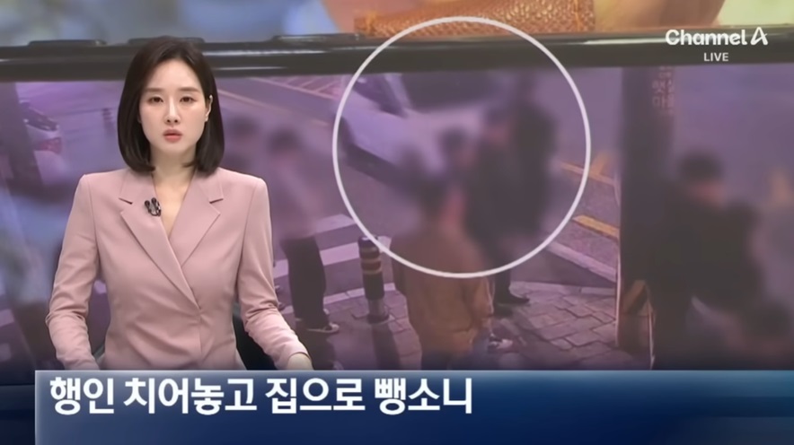 행인 치어놓고 집으로 뺑소니…만취 운전자 검거