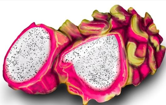 용과의 놀라운 효능 7가지! 항산화부터 면역력 증진까지