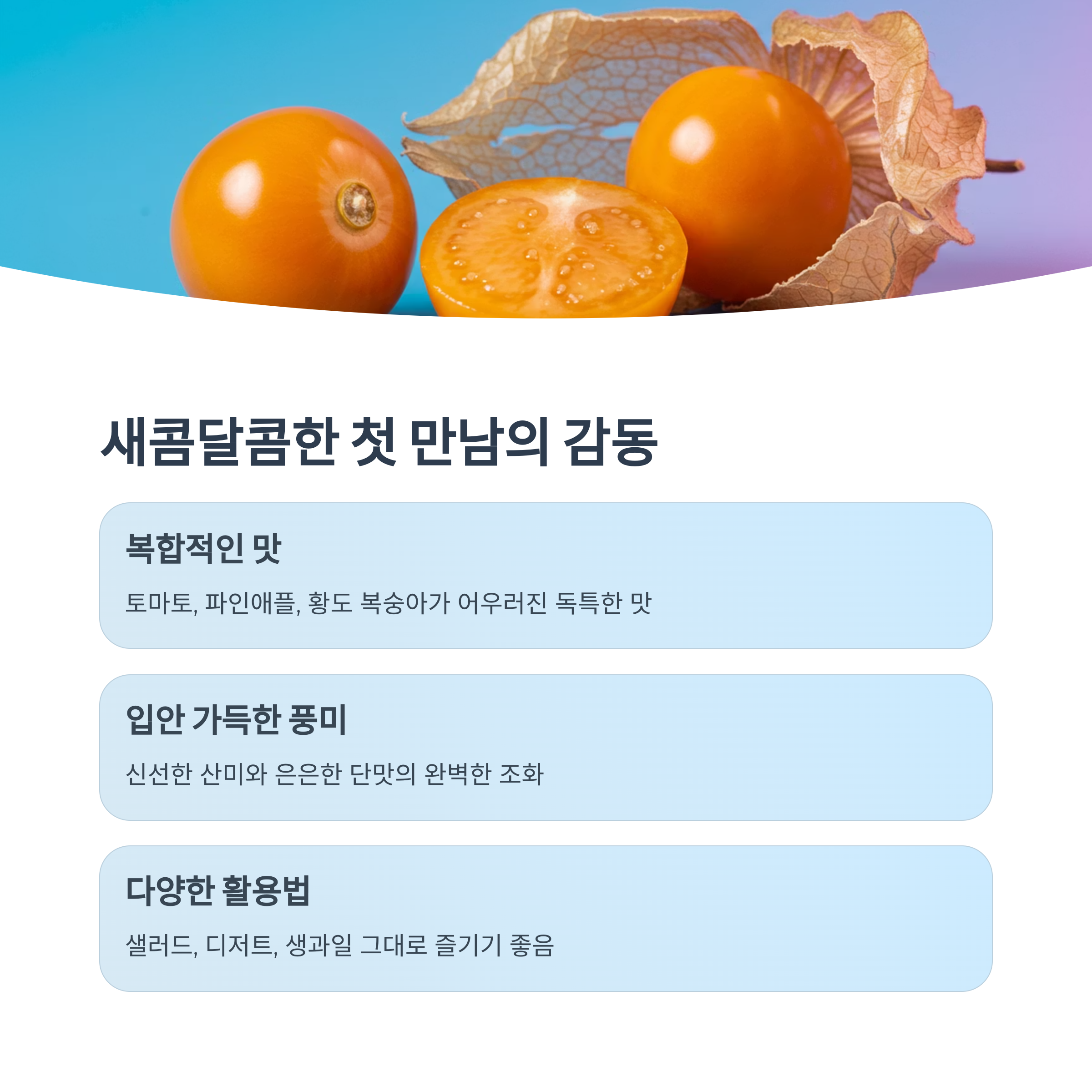 새콤달콤한 매력에 빠지다