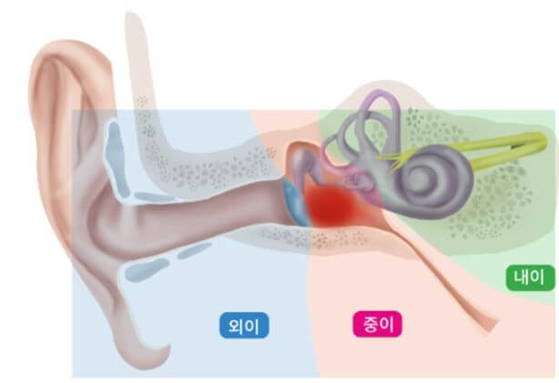 귀-구조
