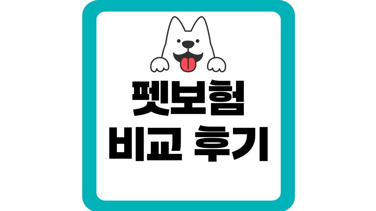 펫보험-비교후기-썸네일