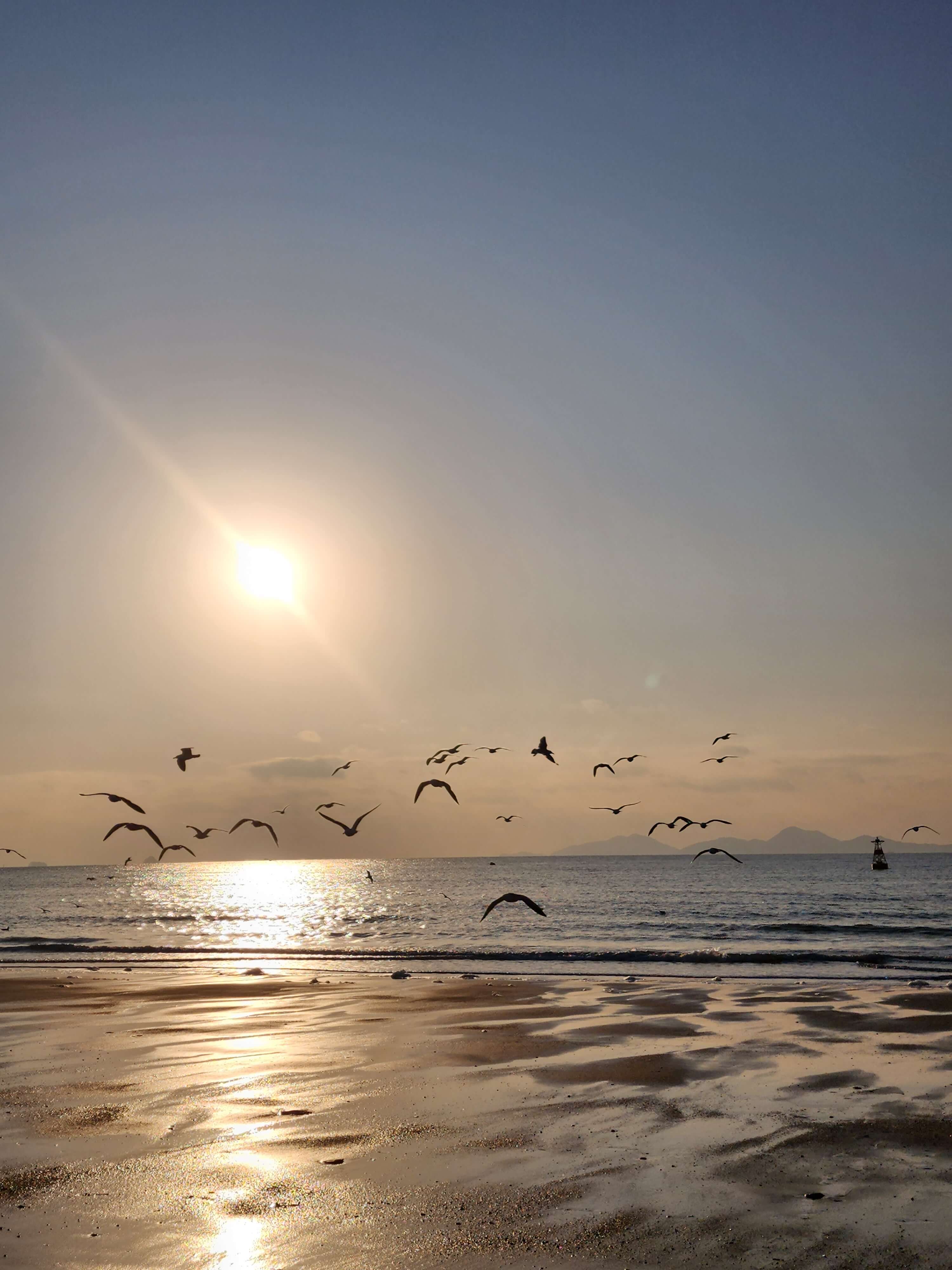 반려견과 변산반도여행 채석강