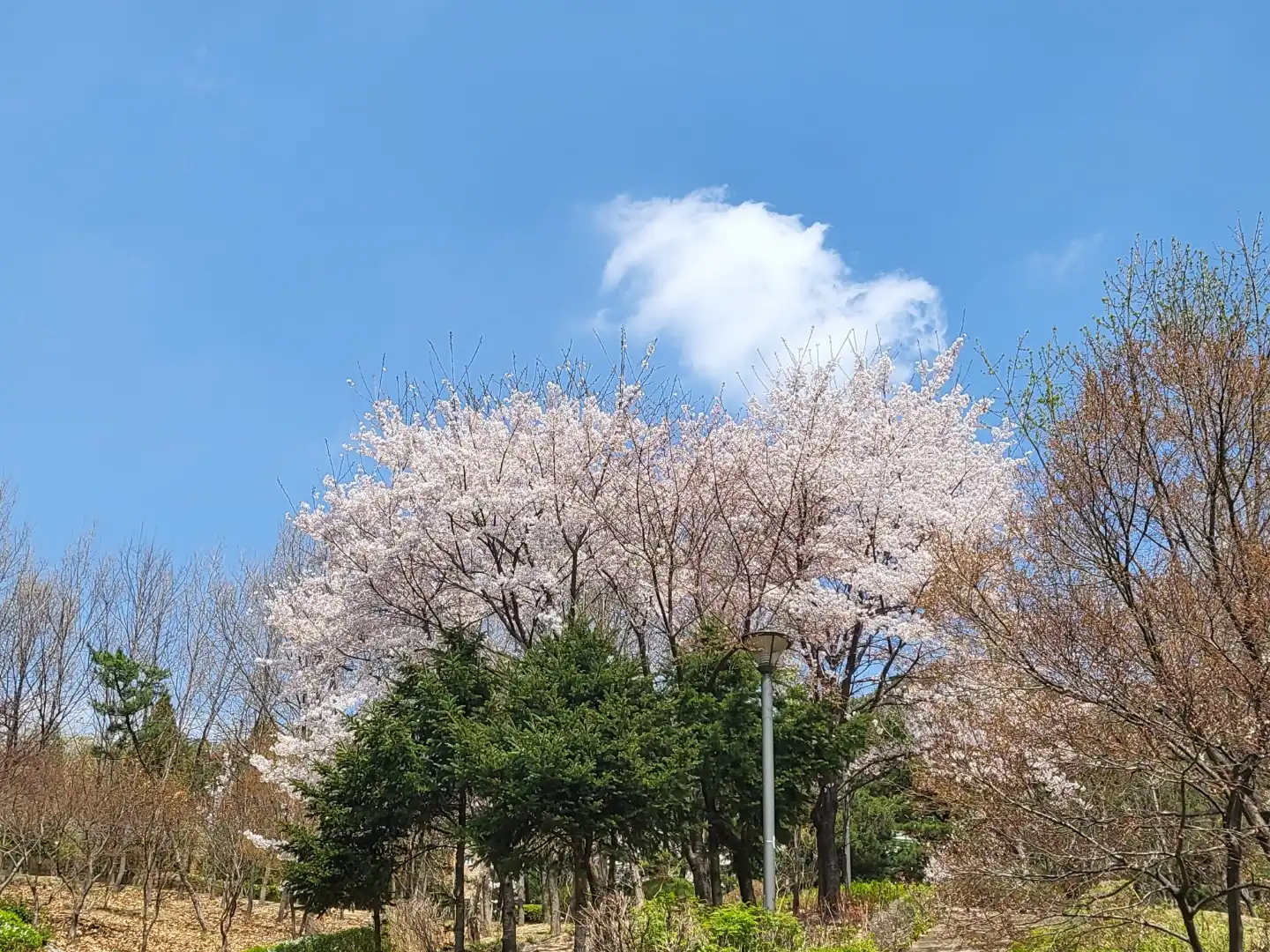 장미공원3