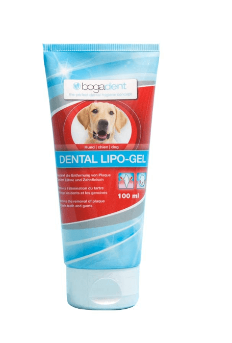 강아지 치약 추천 (바르는 치약, 뿌리는 치약)