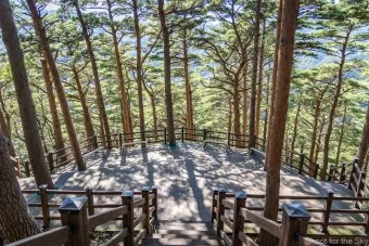 조용한 국내 1박2일 여행지 숨겨진 명소 10선_23