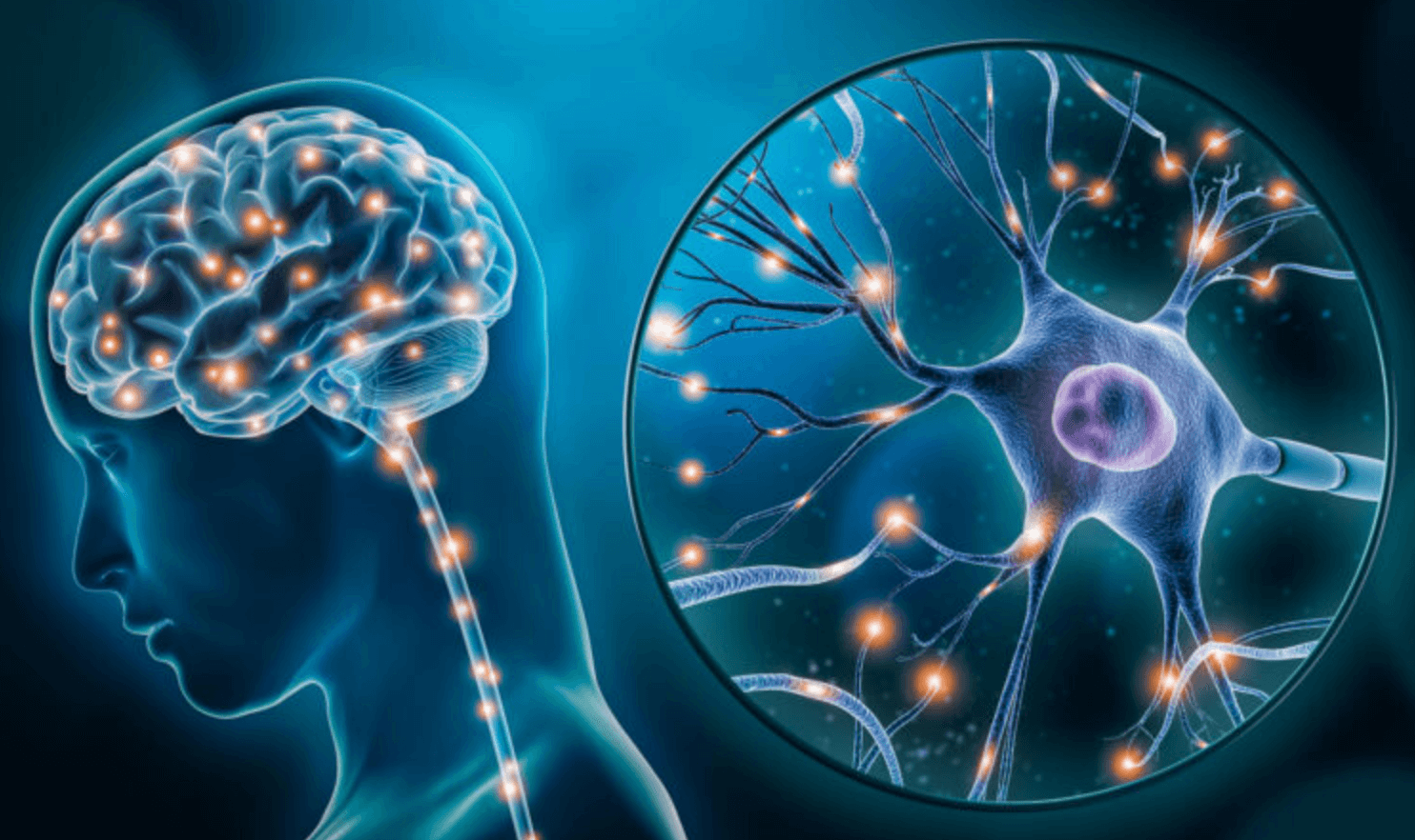 자율 신경계 치료