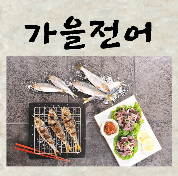 전어, 전어 제철, 전어 구이, 전어회 무침으로 맛있게 즐기자!