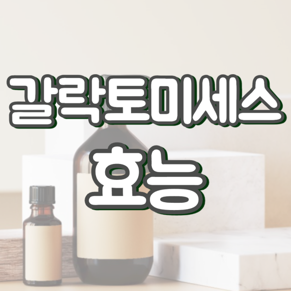 갈락토미세스발효여과물 효능