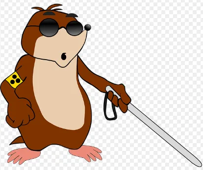  장애인활동지원사(활동보조인) 