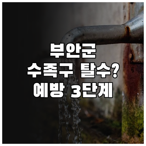 부안군 수족구 환자 케어와 탈수 예방..