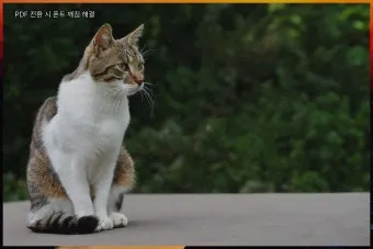PDF 폰트글꼴 아웃라인 피디에프 서체깨기로_16