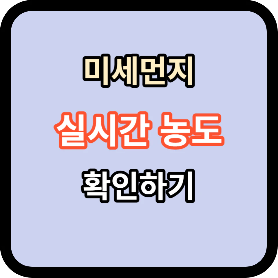 미세먼지의 영향과 실시간 농도 확인하기