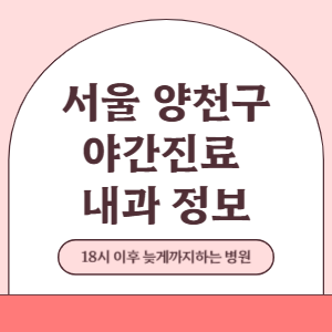 서울 양천구 야간진료 내과 병원 (18시 이후 늦게까지하는 병원)