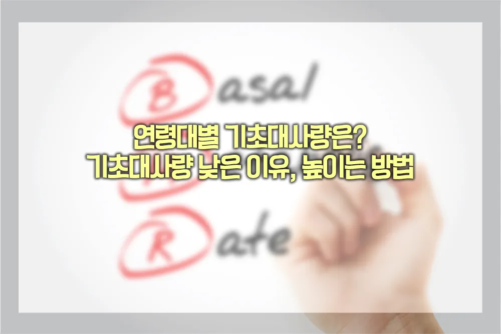 연령대별 기초대사량기초대사량 낮은 이유