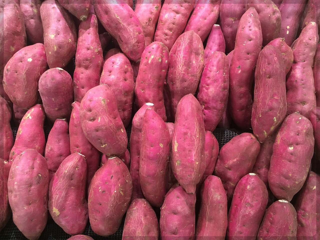 피부 좋아 지는 방법