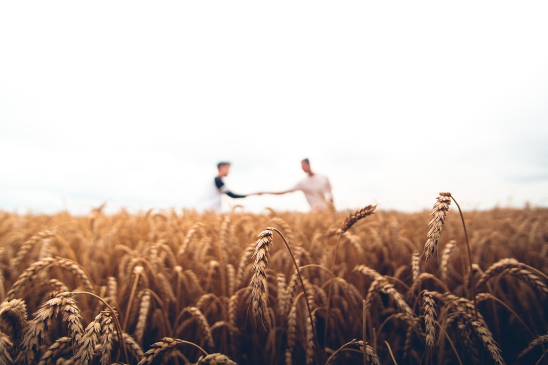 Farmers