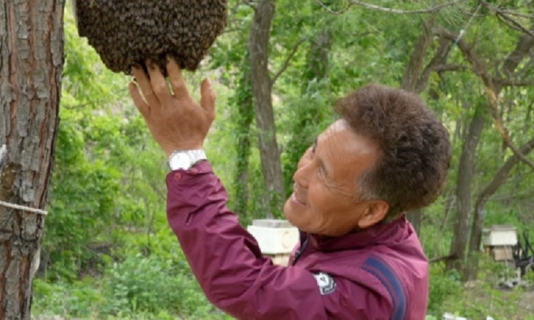 한국기행-토종꿀-김성진