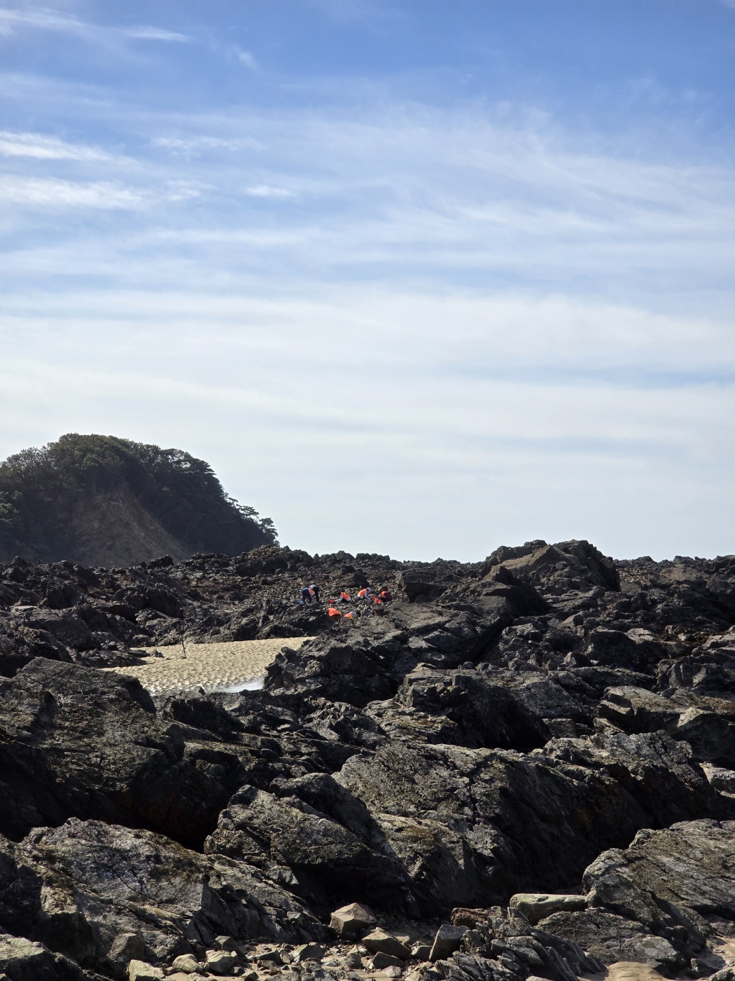 바지락 양식장이라는곳 아무나 들어갈 수 없어요
