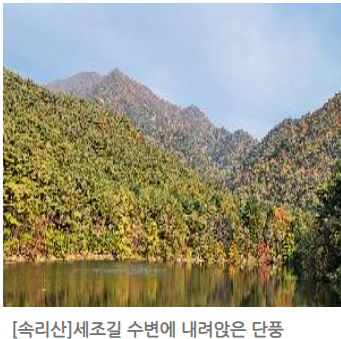 속리산 단풍
